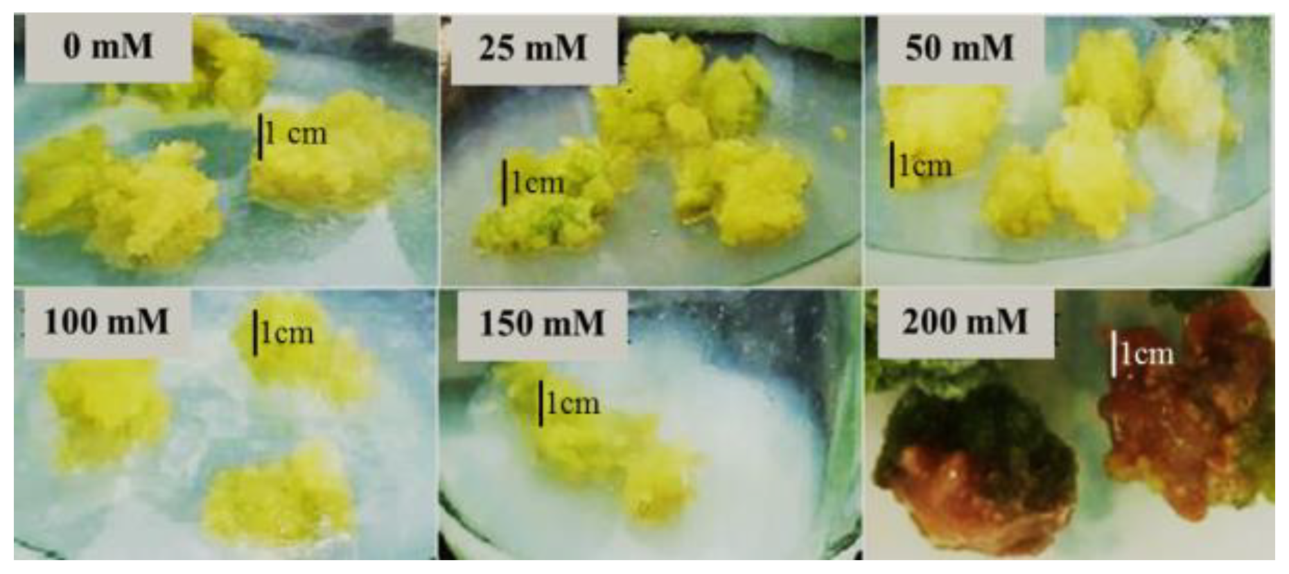 Horticulturae 09 00022 g003 Horticulturae 09 00022 g003