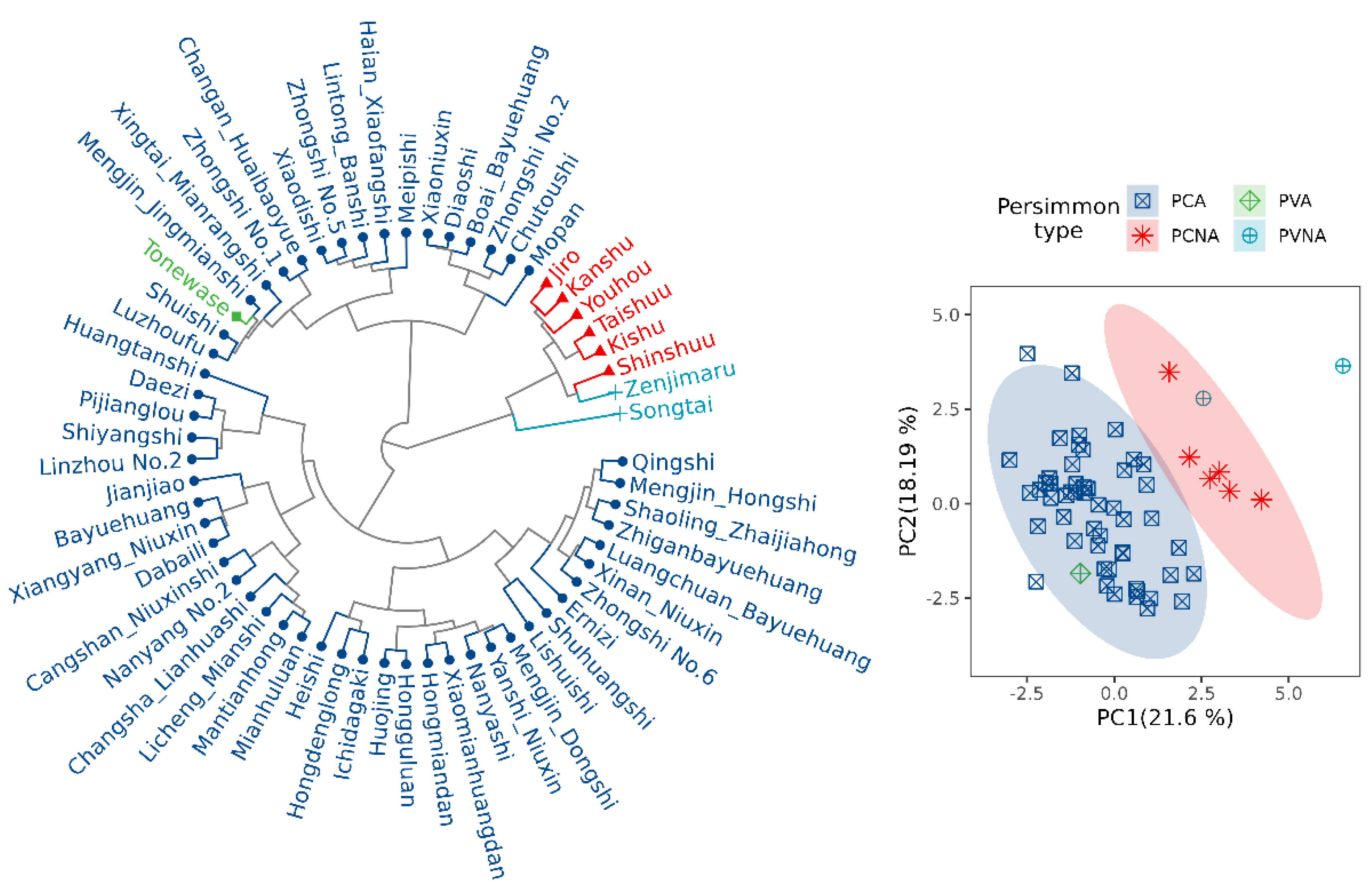 Horticulturae 09 00024 g004