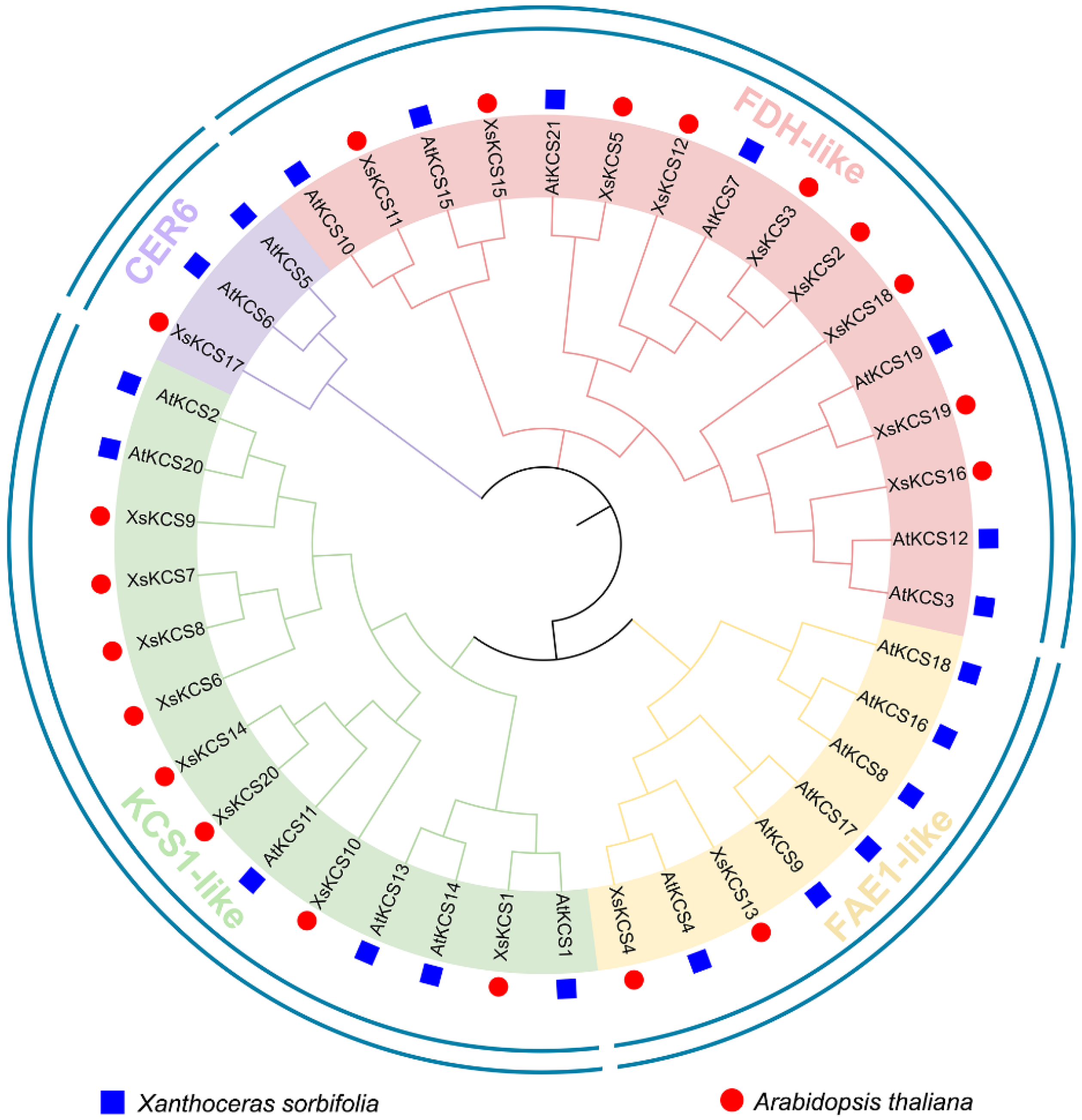 Horticulturae 09 00025 g001