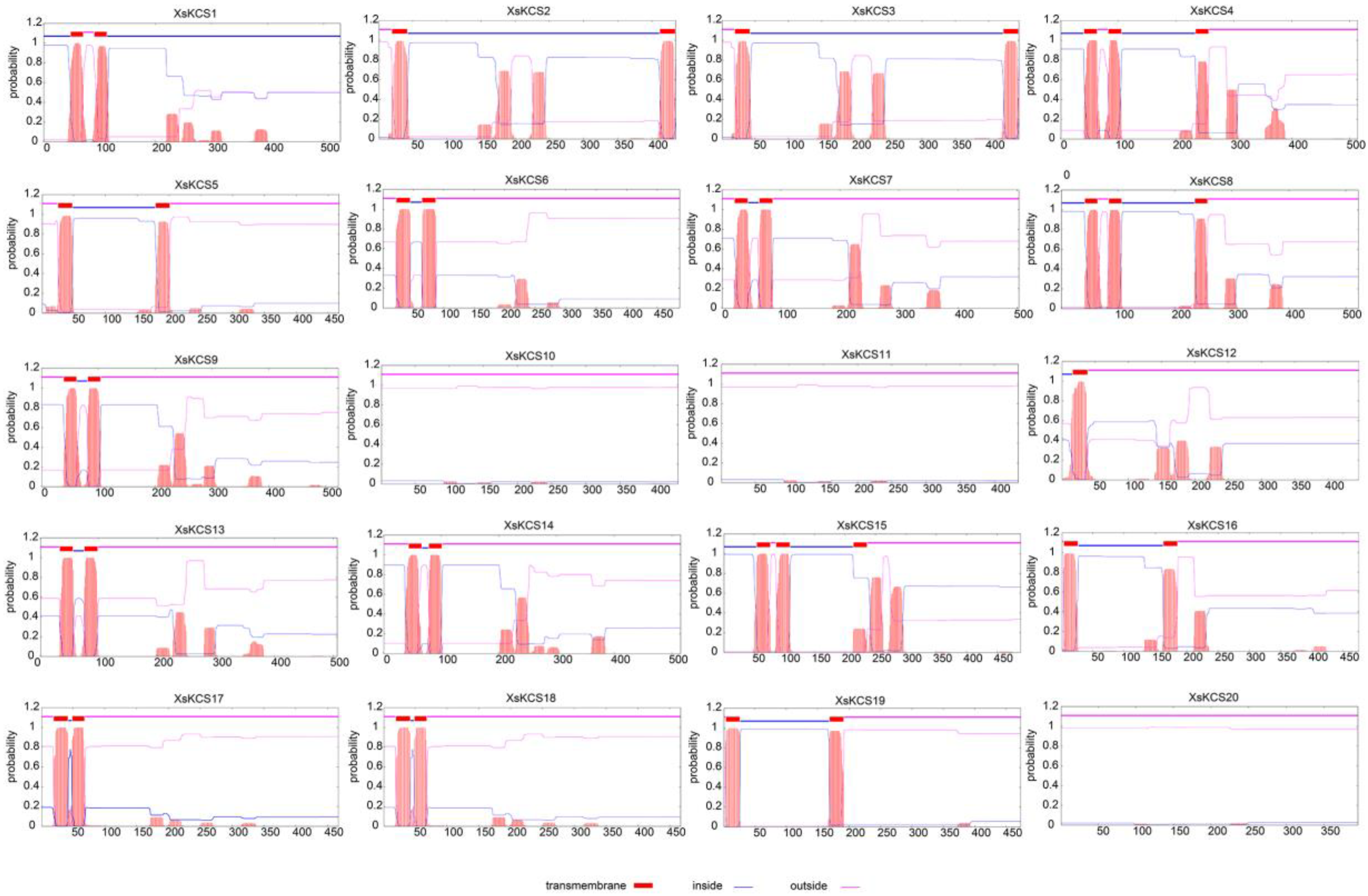 Horticulturae 09 00025 g003