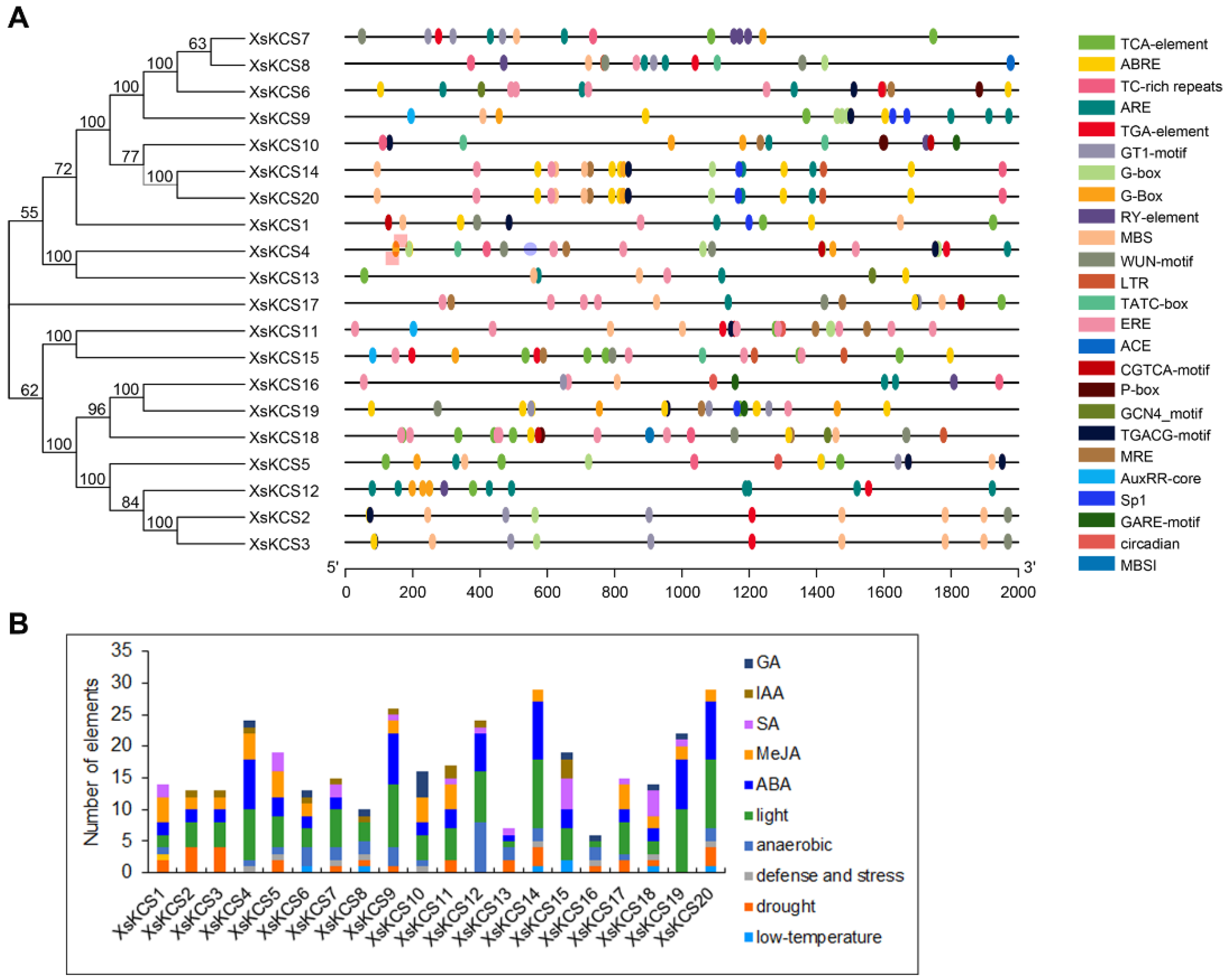 Horticulturae 09 00025 g005