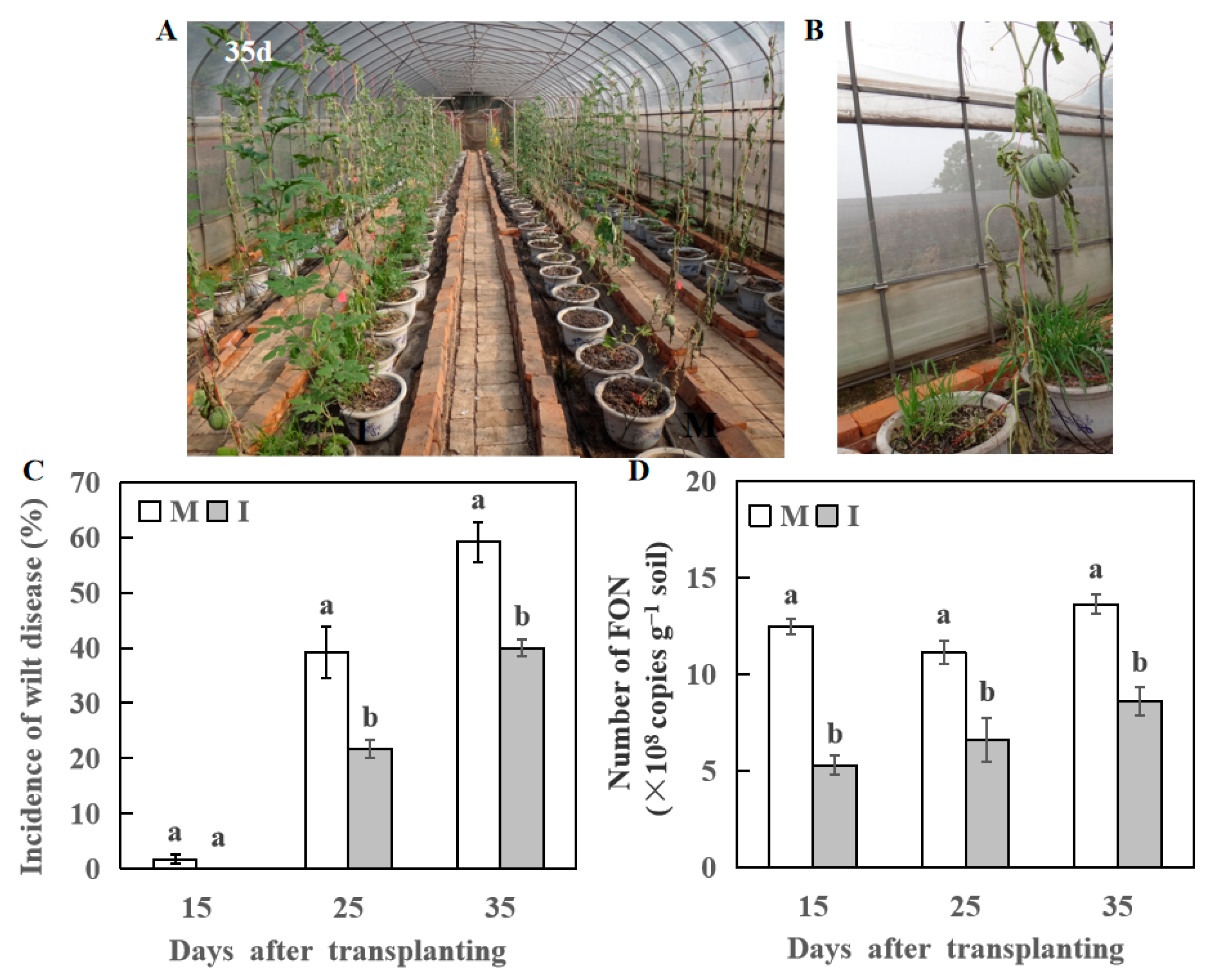 Horticulturae 09 00027 g002 Horticulturae 09 00027 g002
