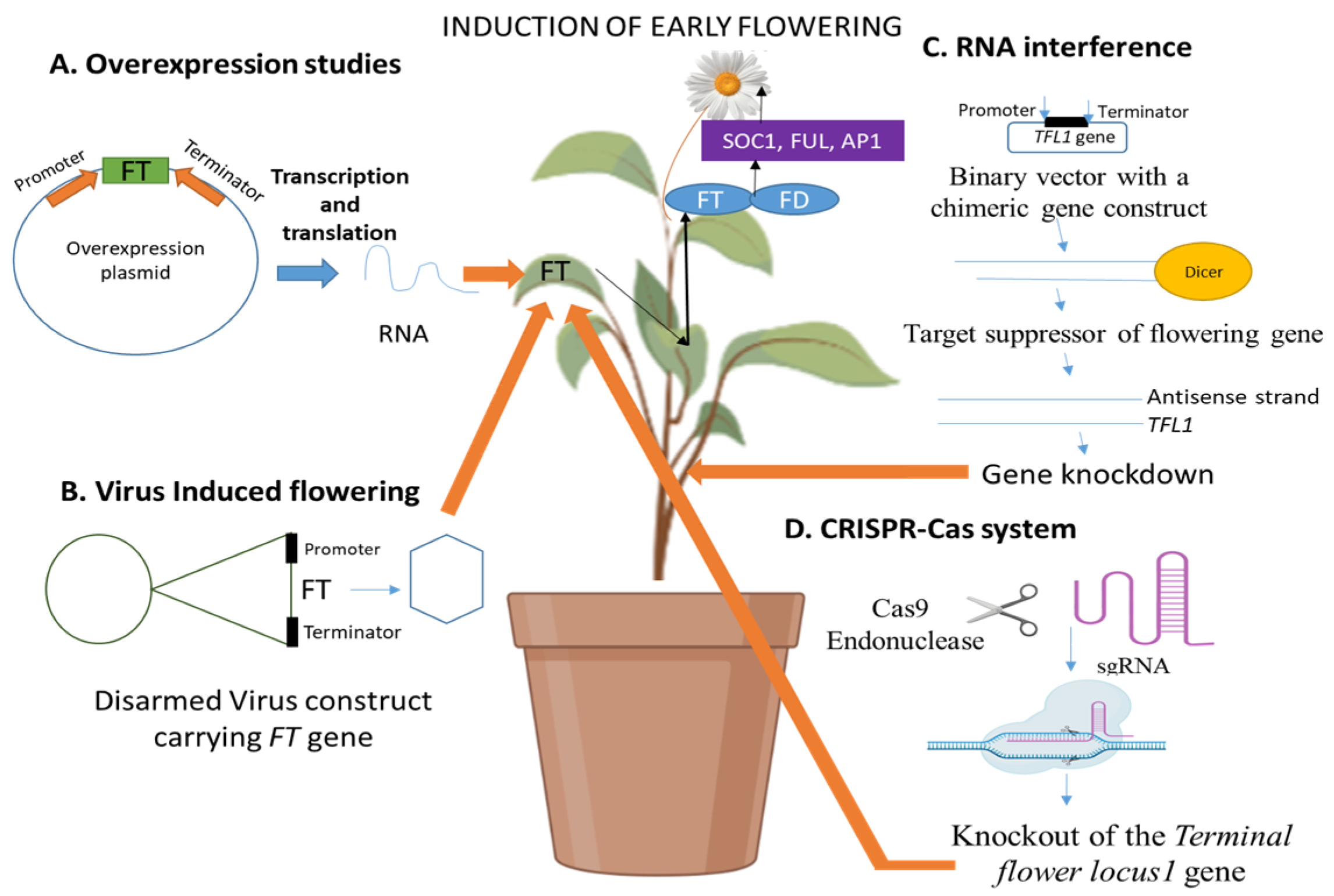 Horticulturae 09 00033 g001 Horticulturae 09 00033 g001