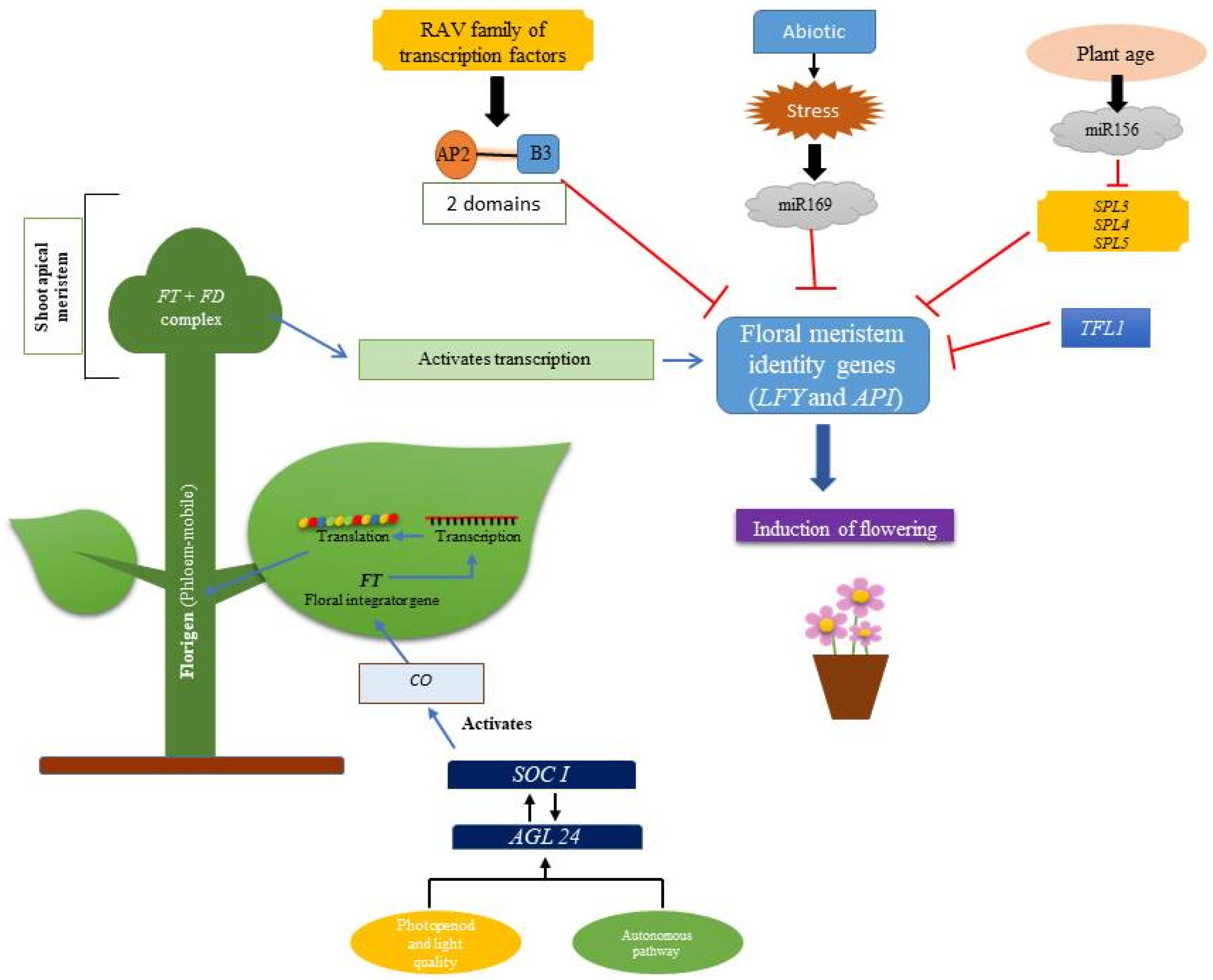Horticulturae 09 00033 g002 Horticulturae 09 00033 g002