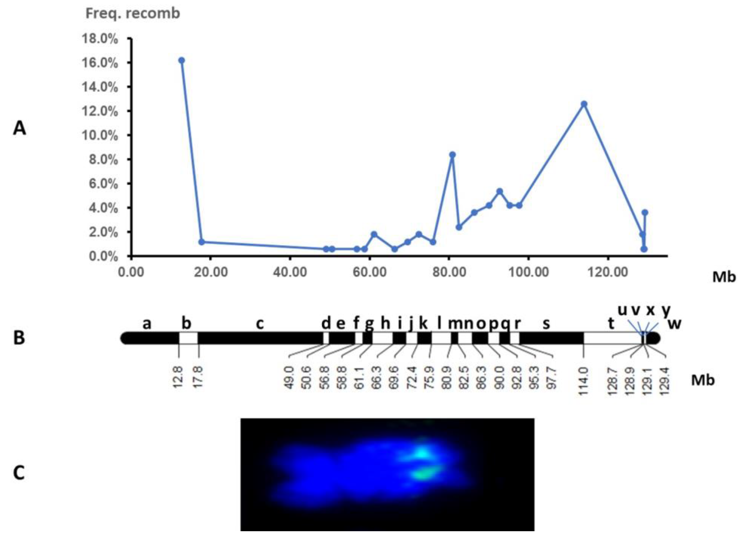 Horticulturae 09 00041 g004 Horticulturae 09 00041 g004