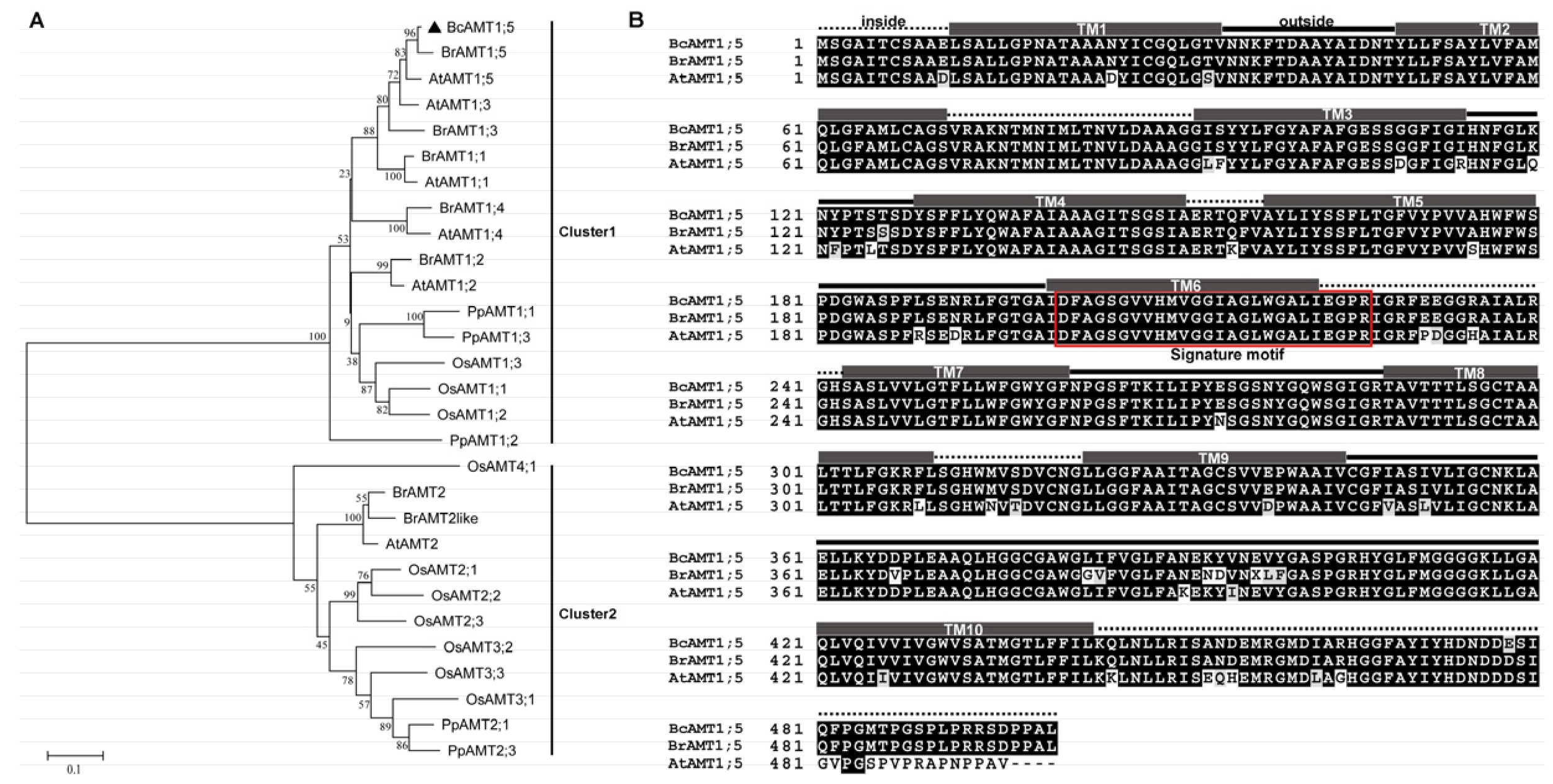 Horticulturae 09 00043 g001