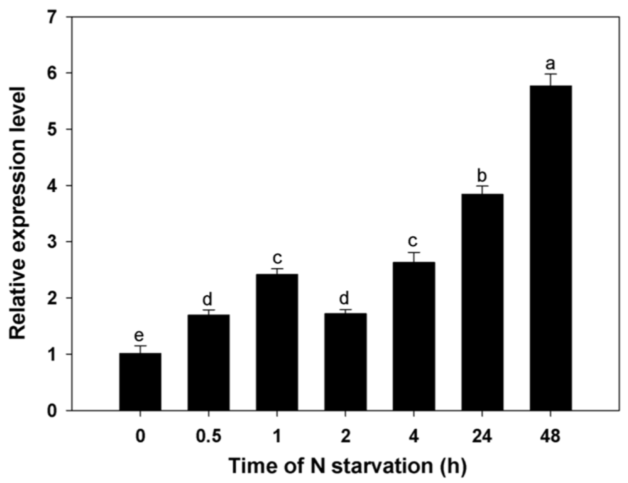 Horticulturae 09 00043 g005