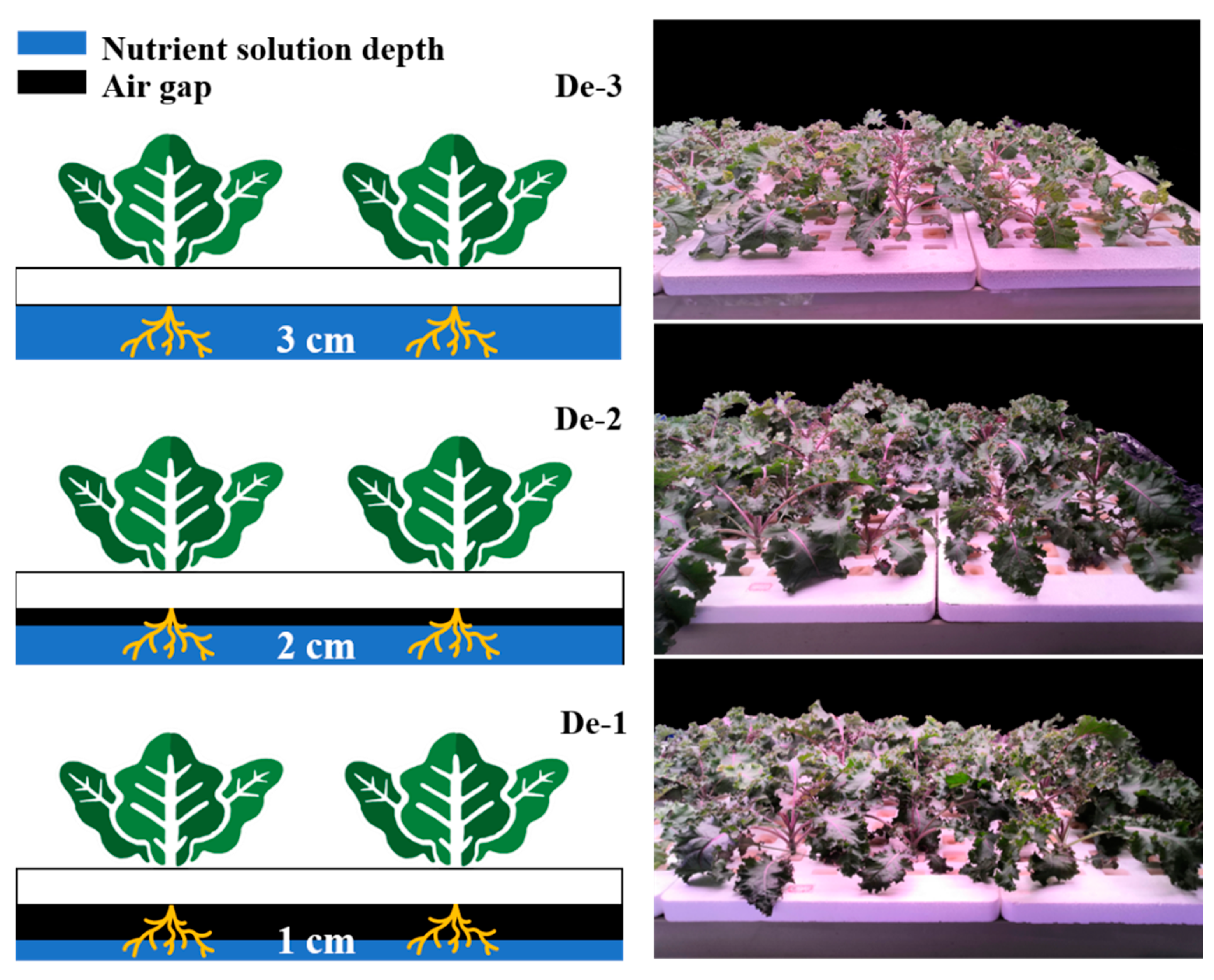 Horticulturae 09 00053 g002