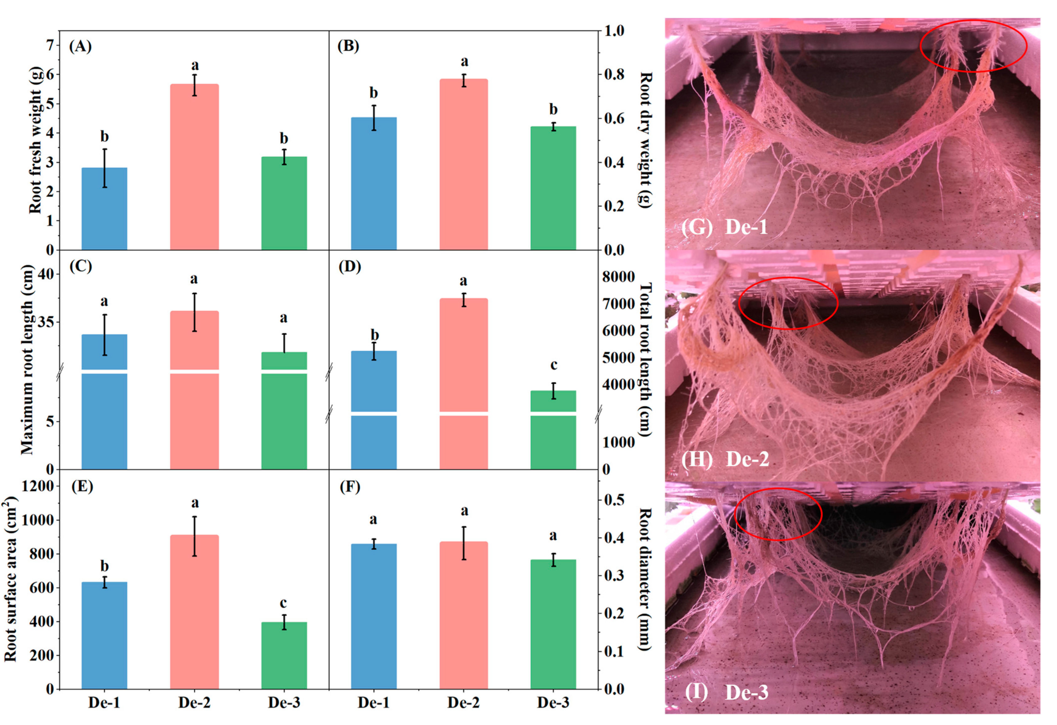 Horticulturae 09 00053 g004