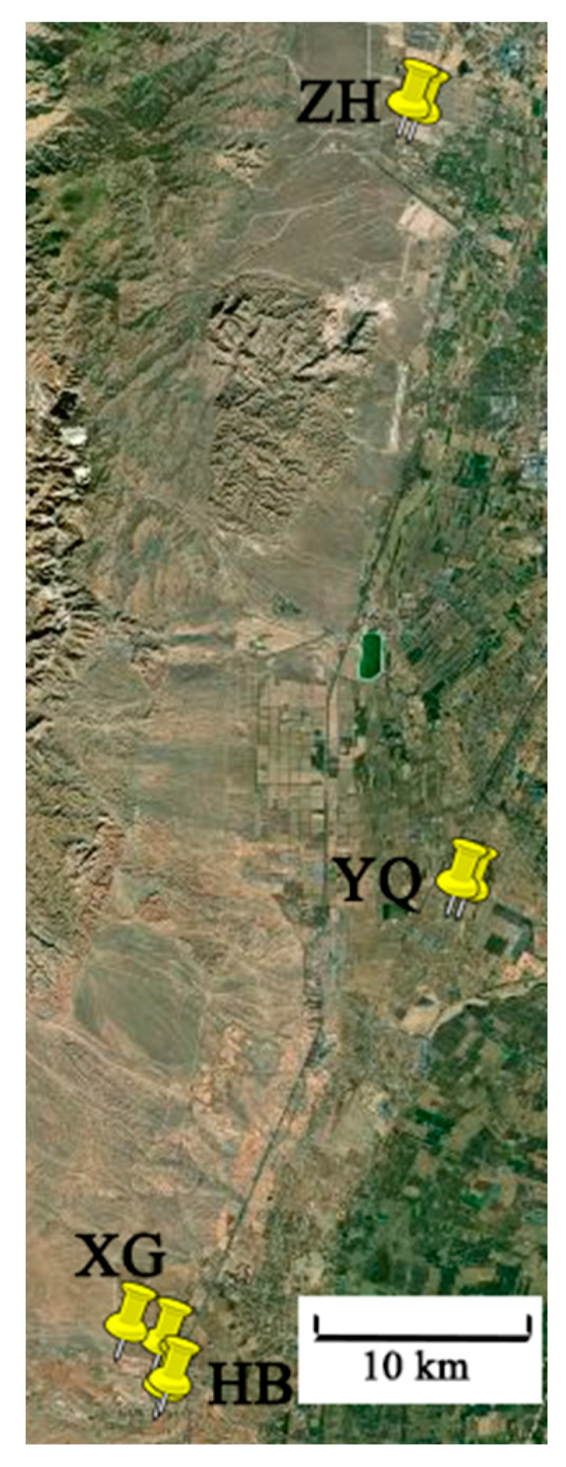 Horticulturae 09 00061 g001