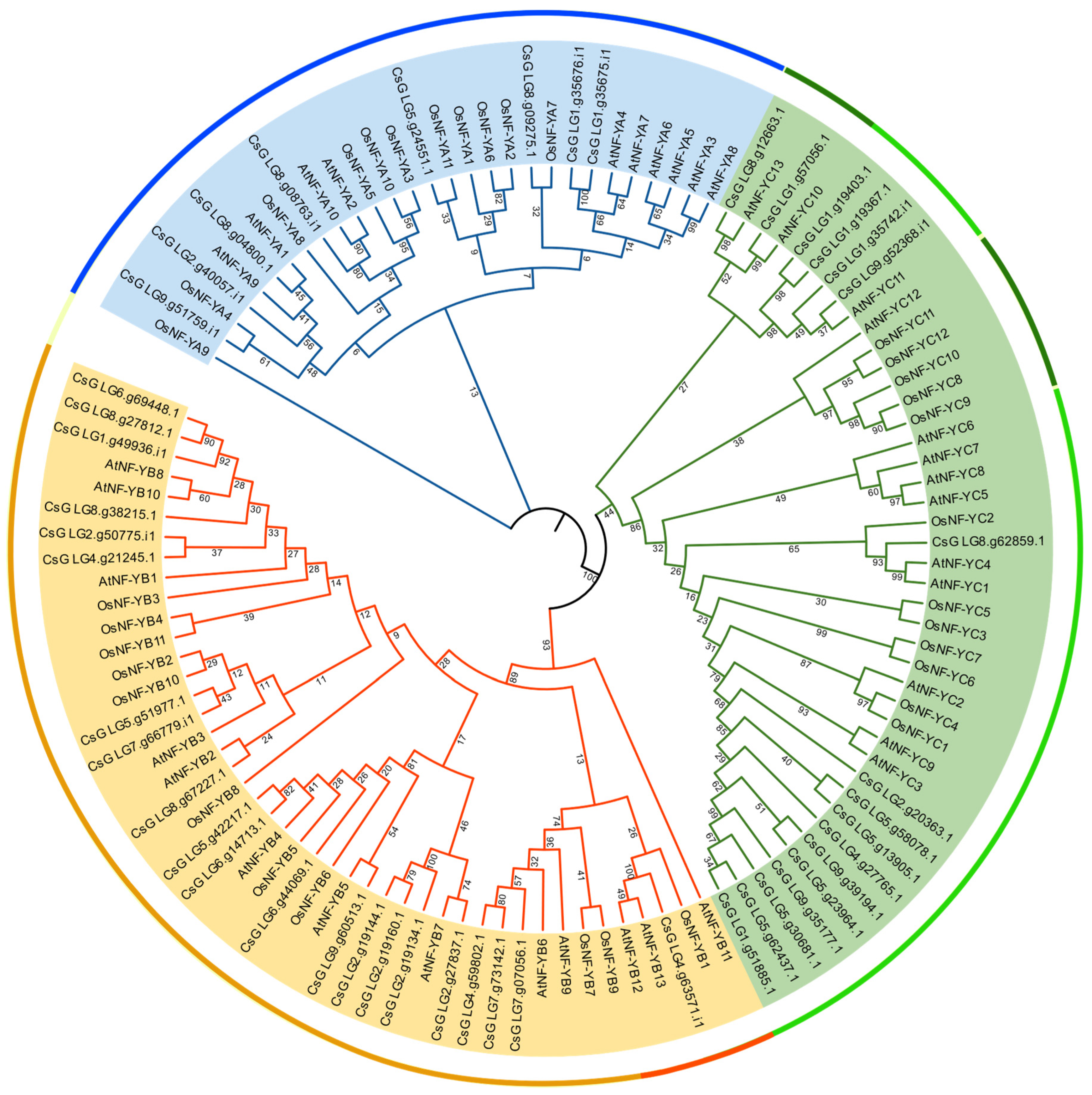 Horticulturae 09 00070 g001 Horticulturae 09 00070 g001