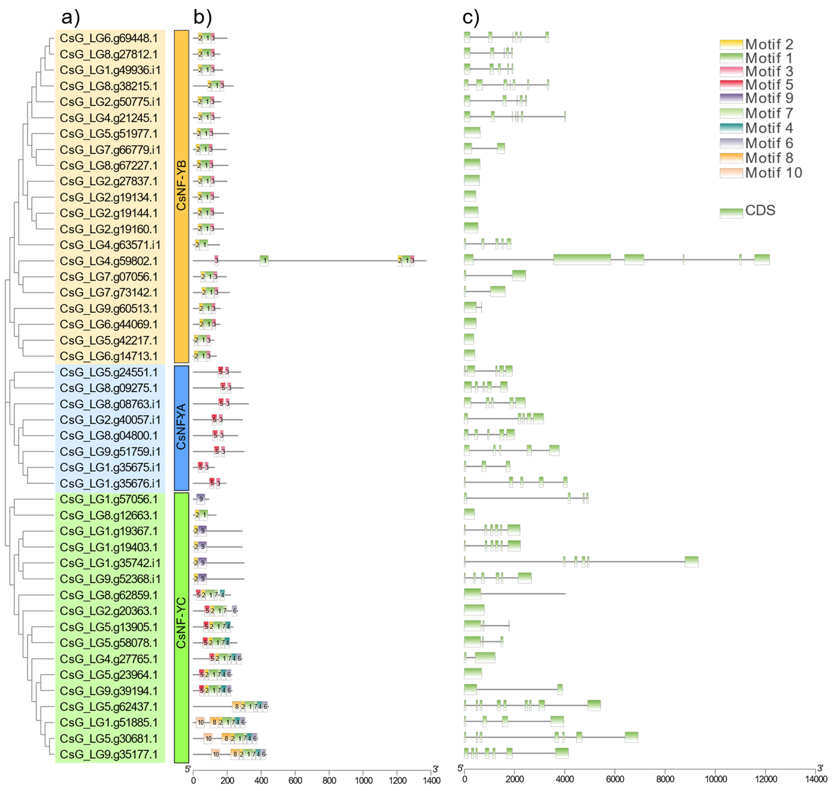 Horticulturae 09 00070 g003 Horticulturae 09 00070 g003