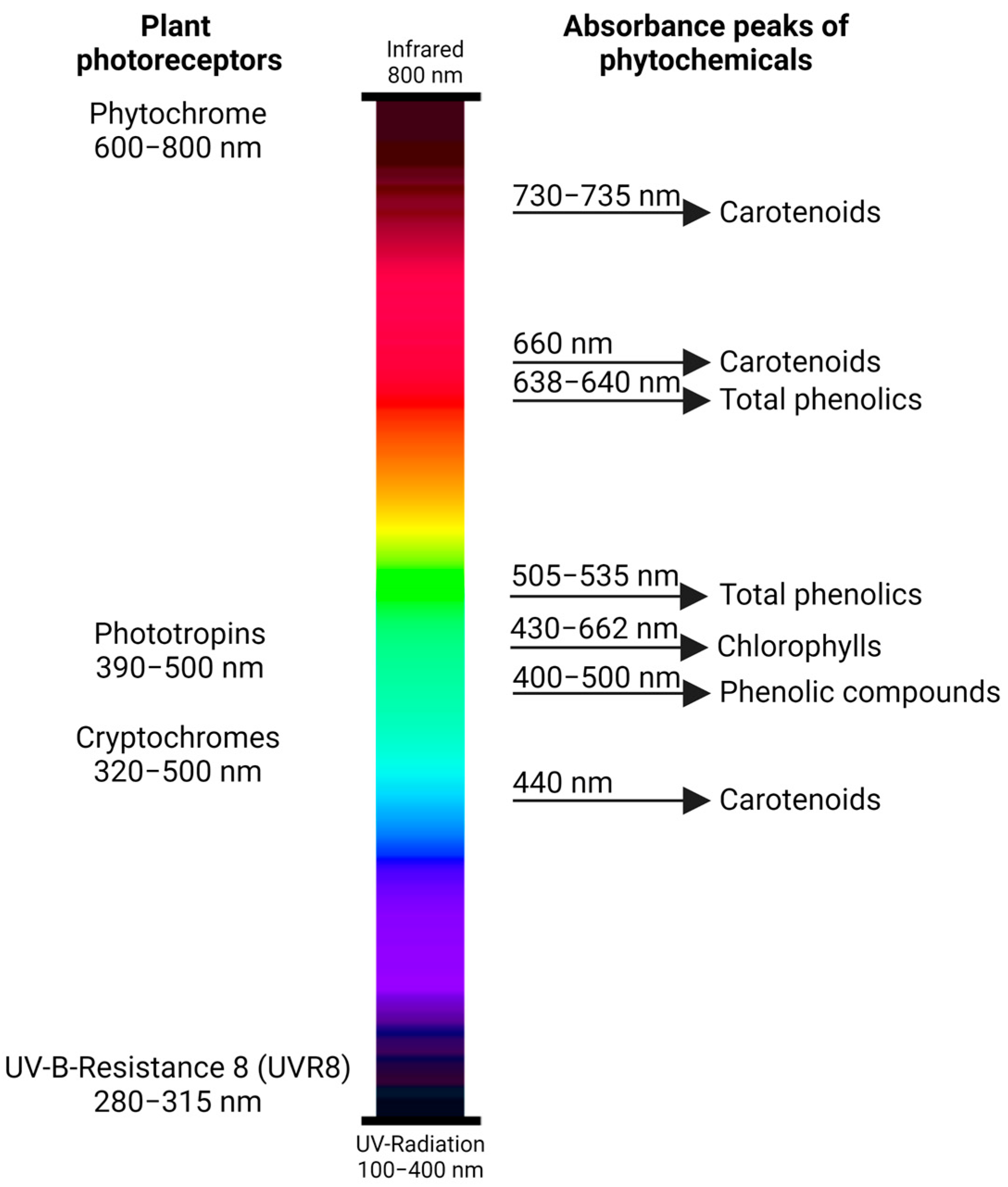 Horticulturae 09 00072 g001 Horticulturae 09 00072 g001