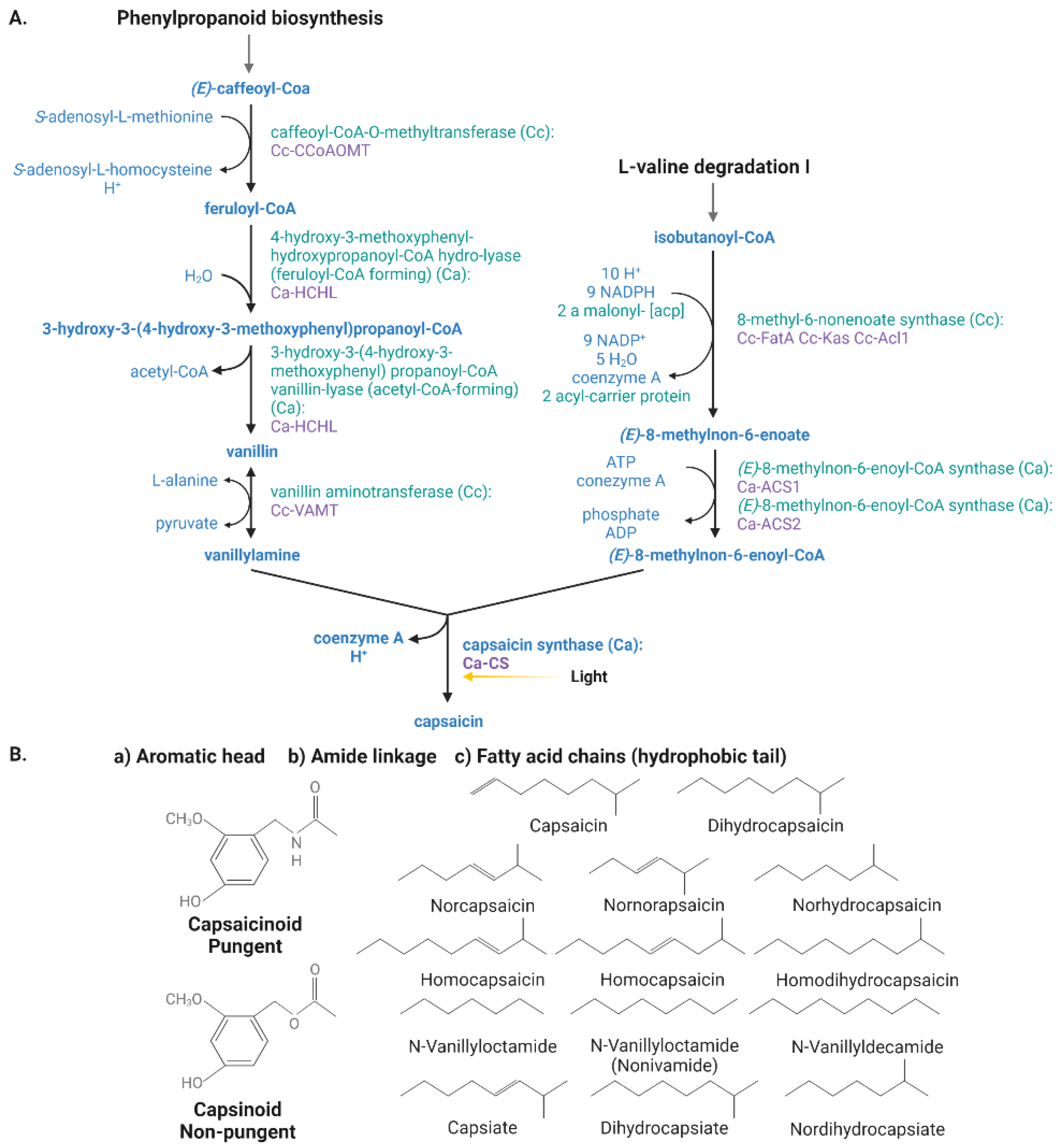 Horticulturae 09 00072 g002 Horticulturae 09 00072 g002