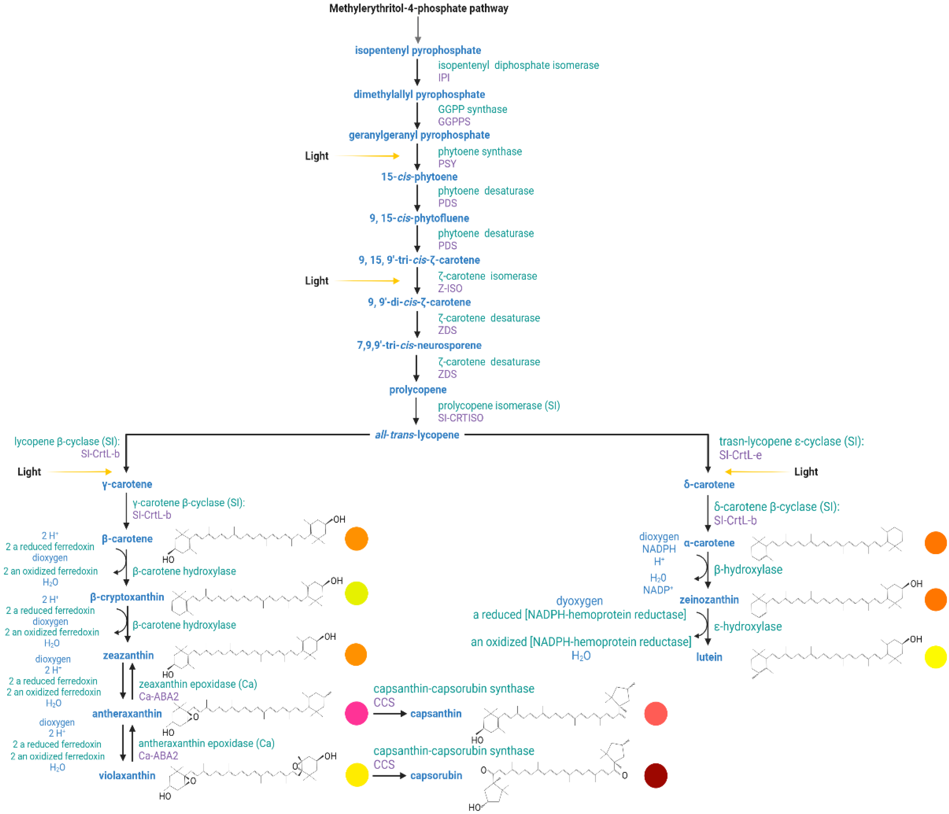 Horticulturae 09 00072 g003 Horticulturae 09 00072 g003
