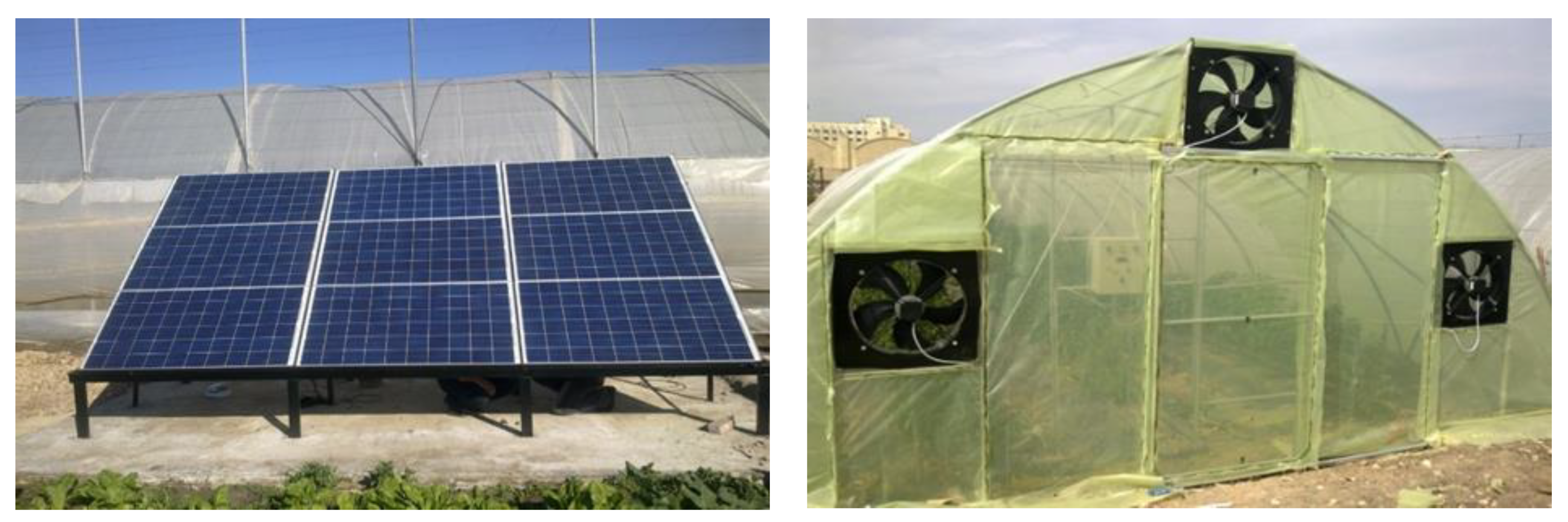 Horticulturae 09 00077 g001 Horticulturae 09 00077 g001