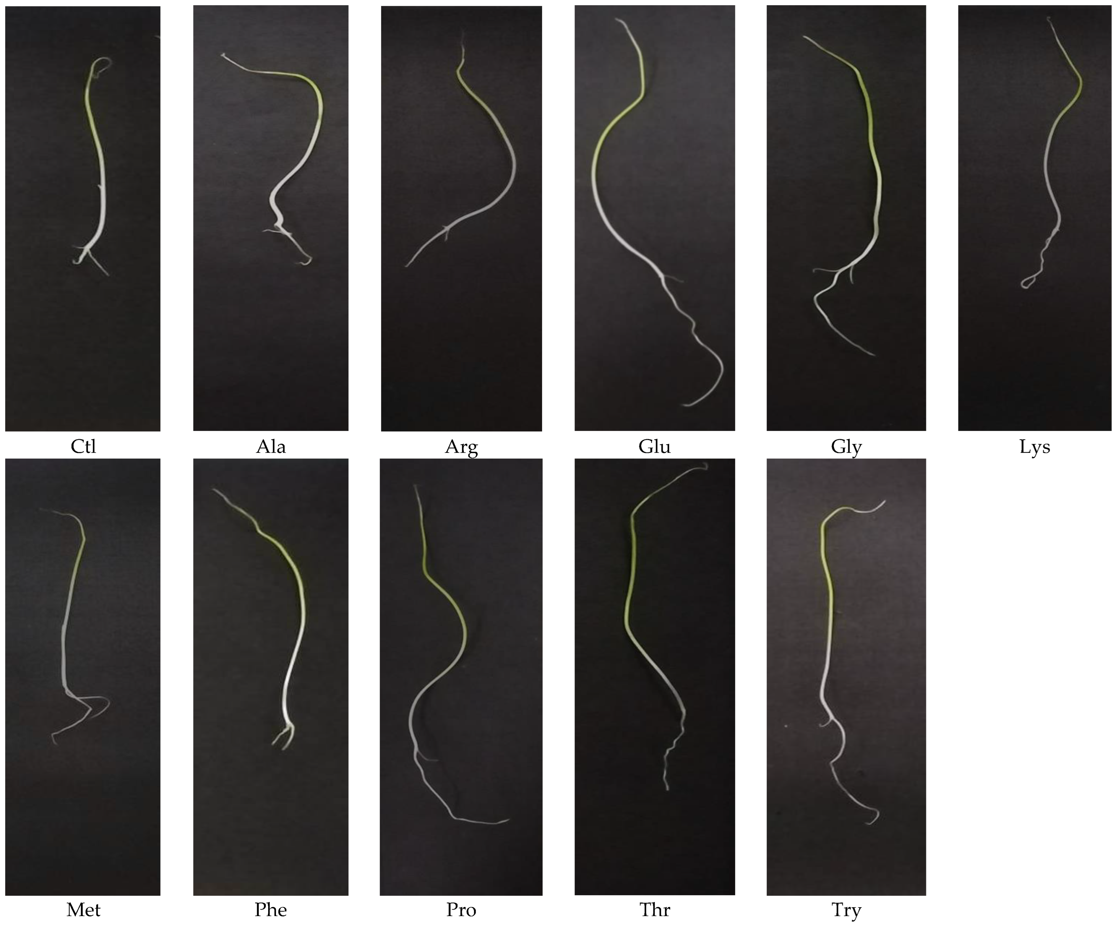Horticulturae 09 00080 g009 Horticulturae 09 00080 g009