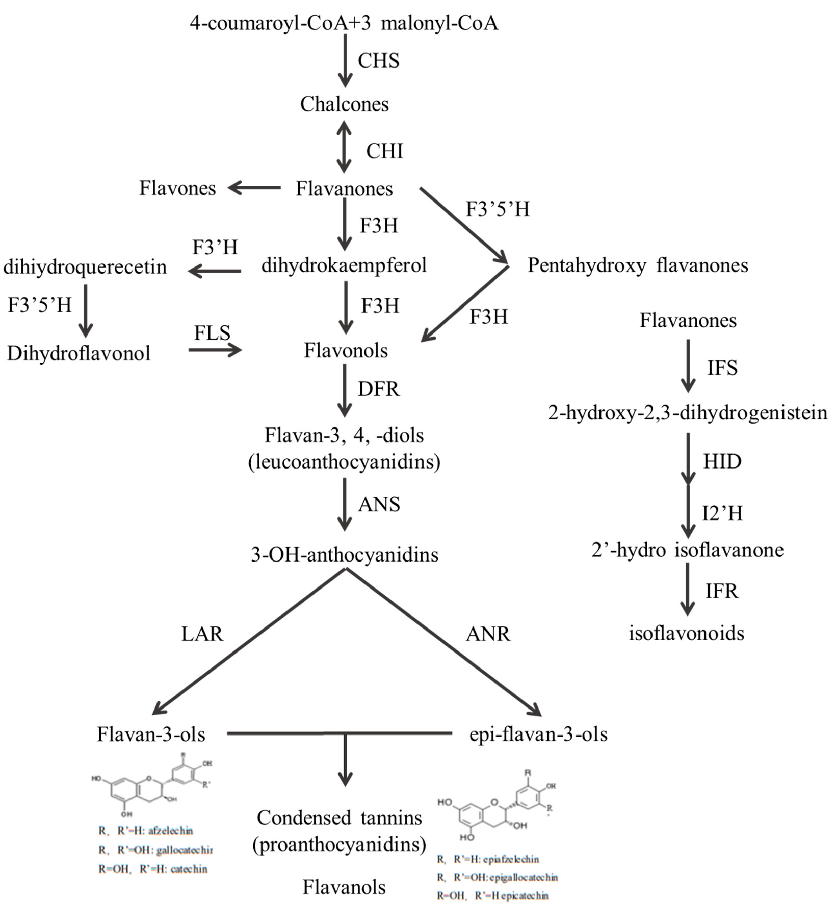 Horticulturae 09 00082 g001 Horticulturae 09 00082 g001