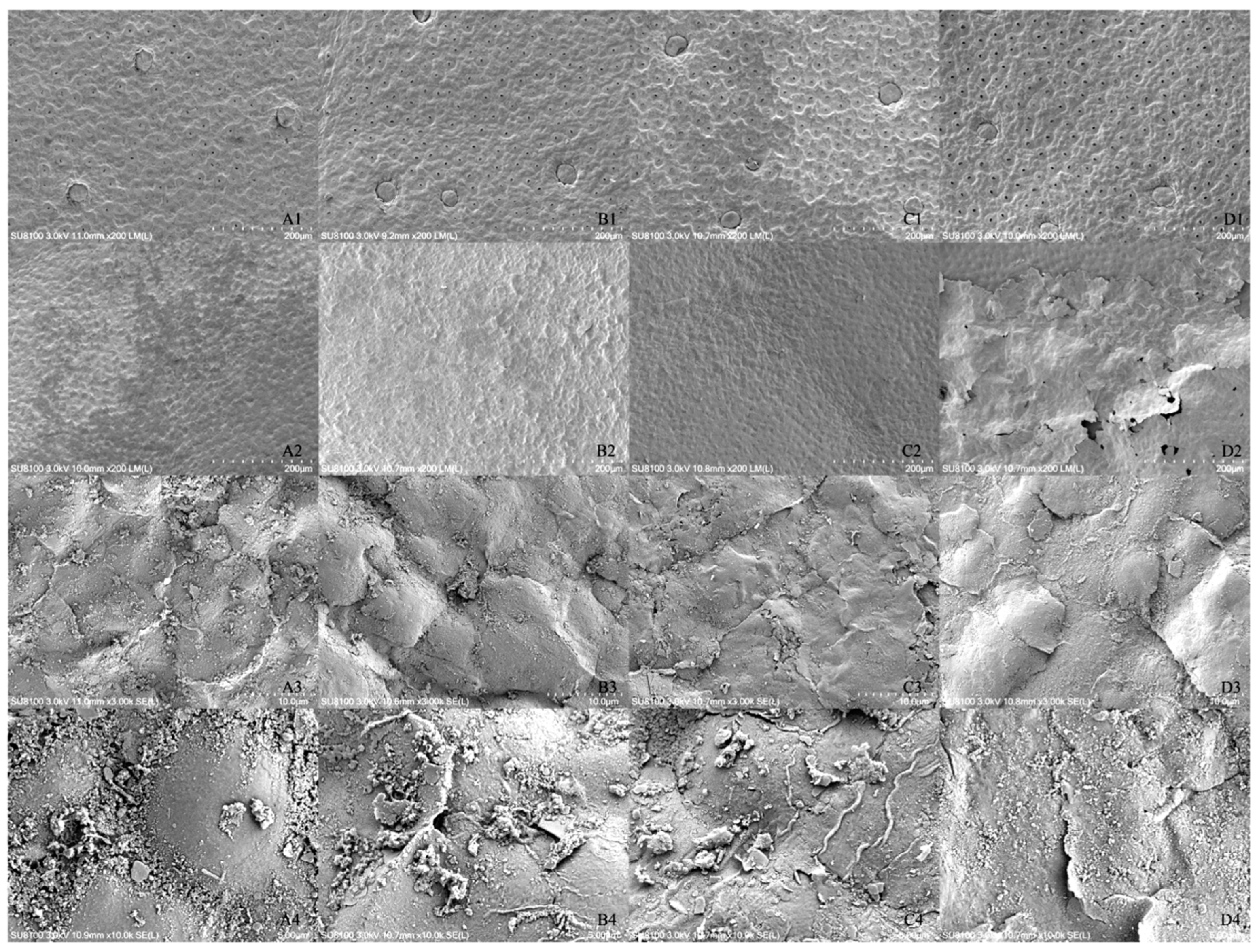 Horticulturae 09 00083 g003 Horticulturae 09 00083 g003