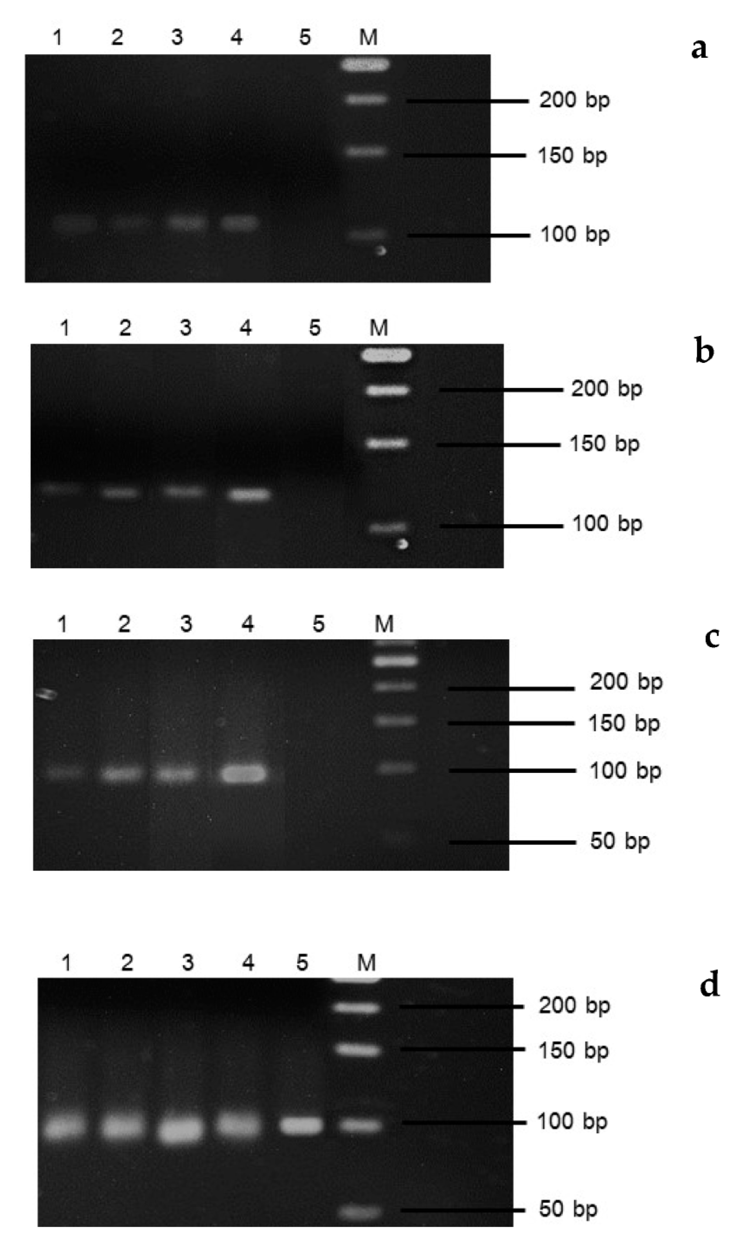 Horticulturae 09 00087 g002
