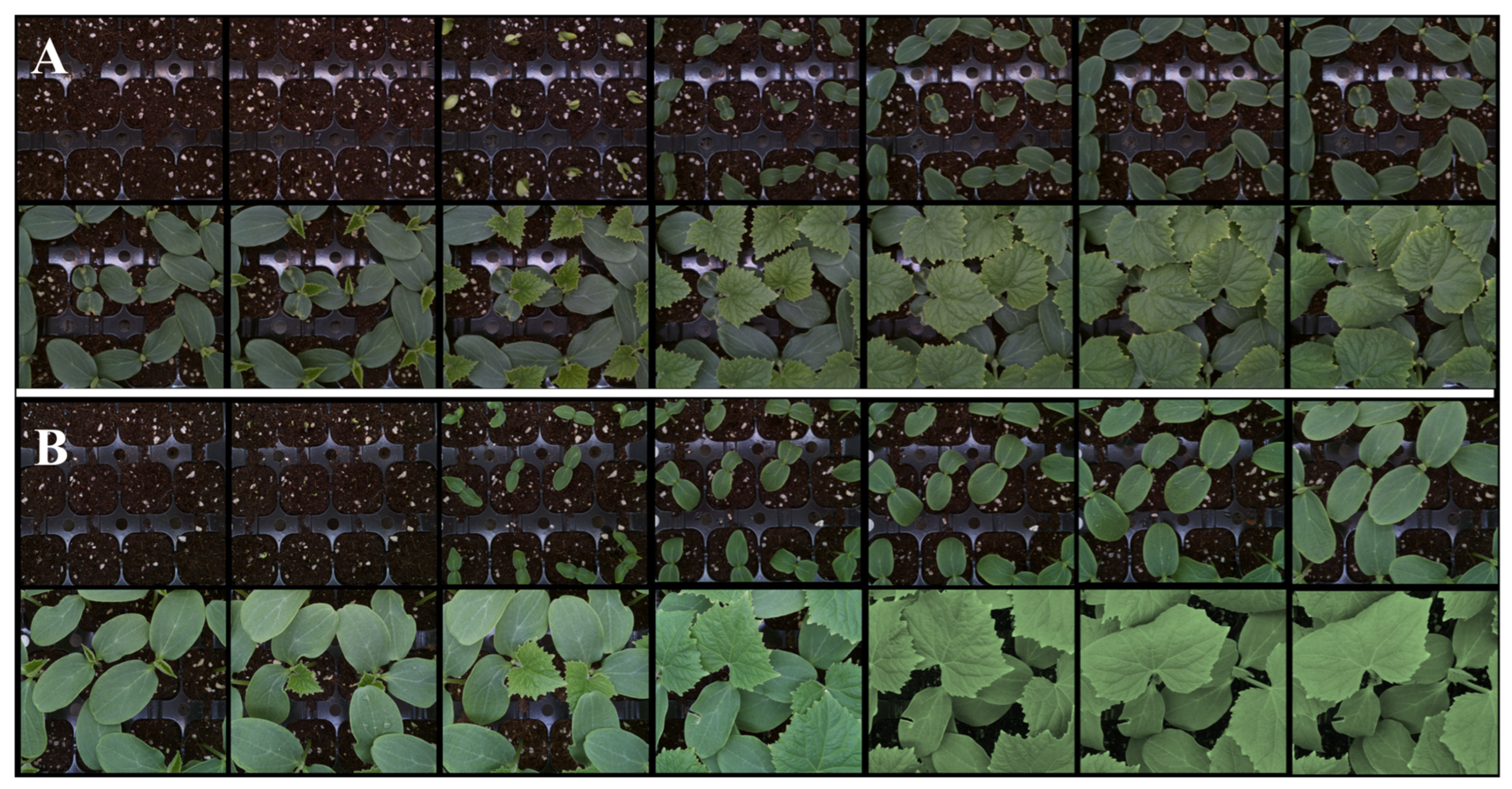 Horticulturae 09 00098 g004 Horticulturae 09 00098 g004