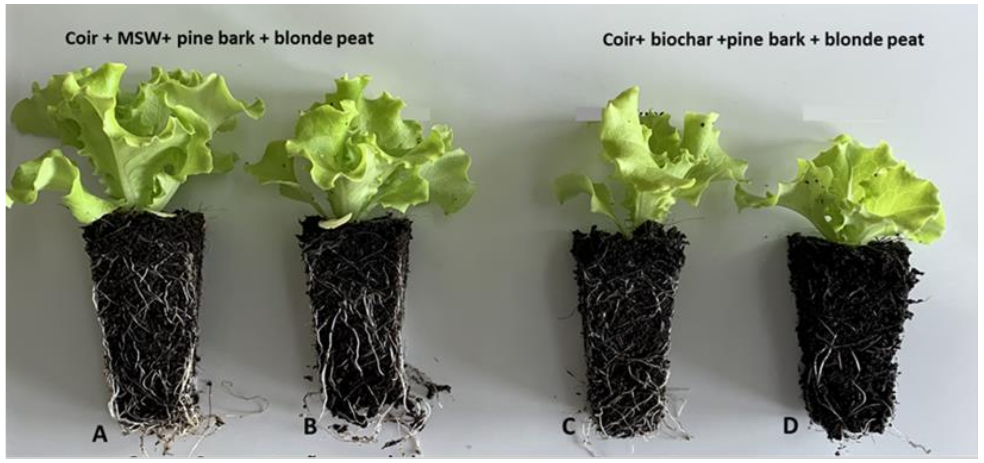 Horticulturae 09 00105 g002