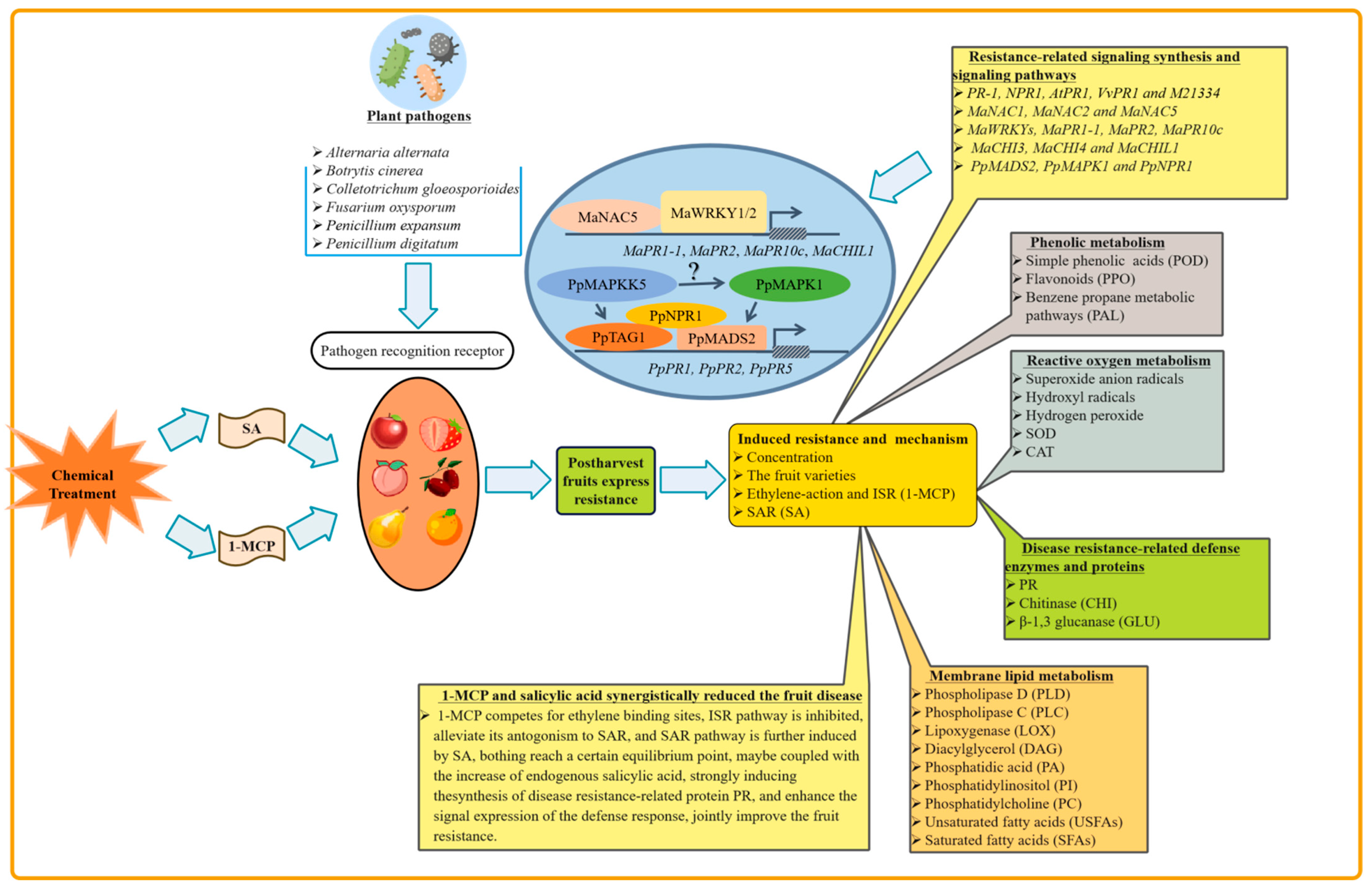Horticulturae 09 00108 g001 Horticulturae 09 00108 g001