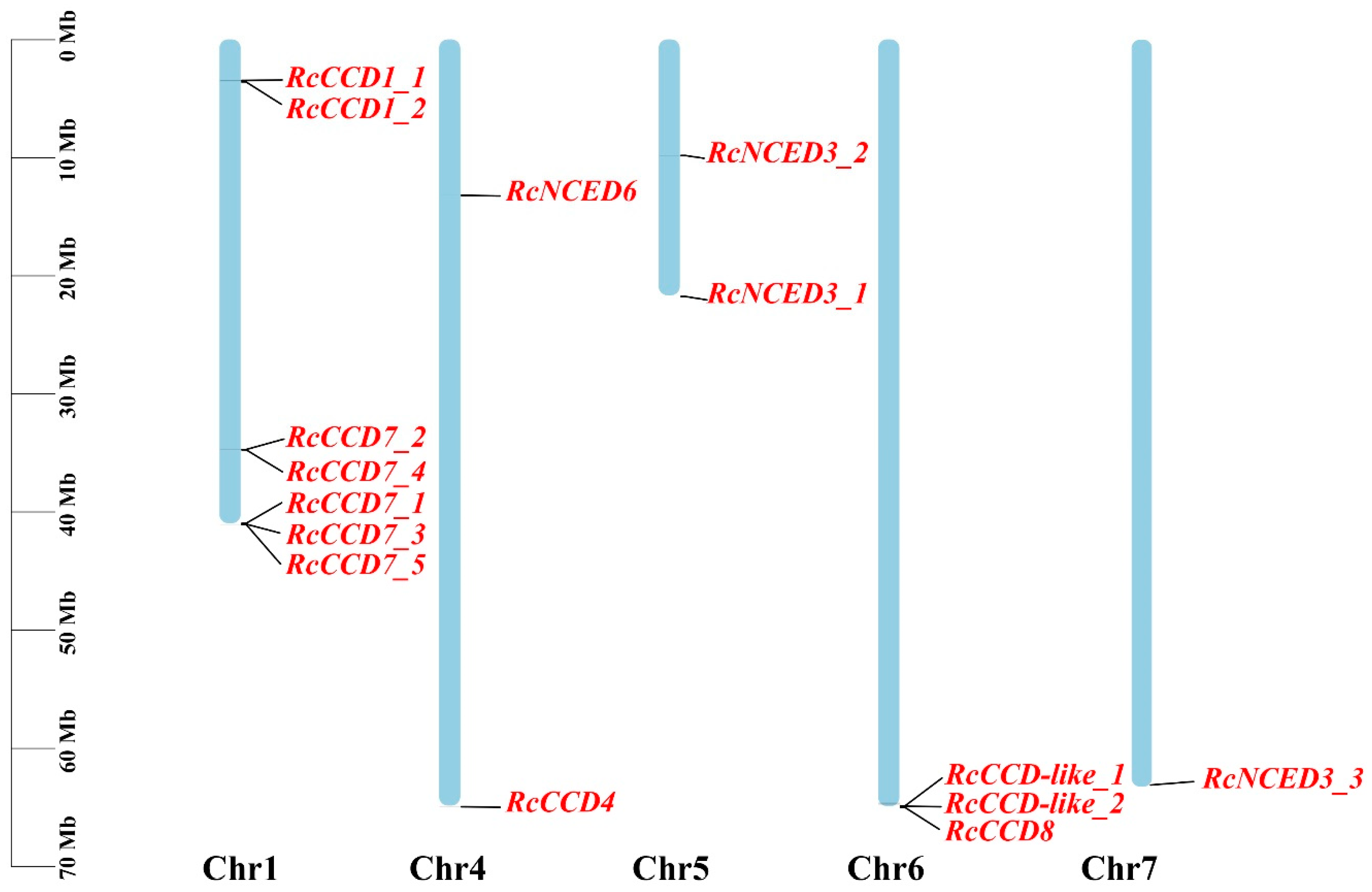 Horticulturae 09 00115 g001