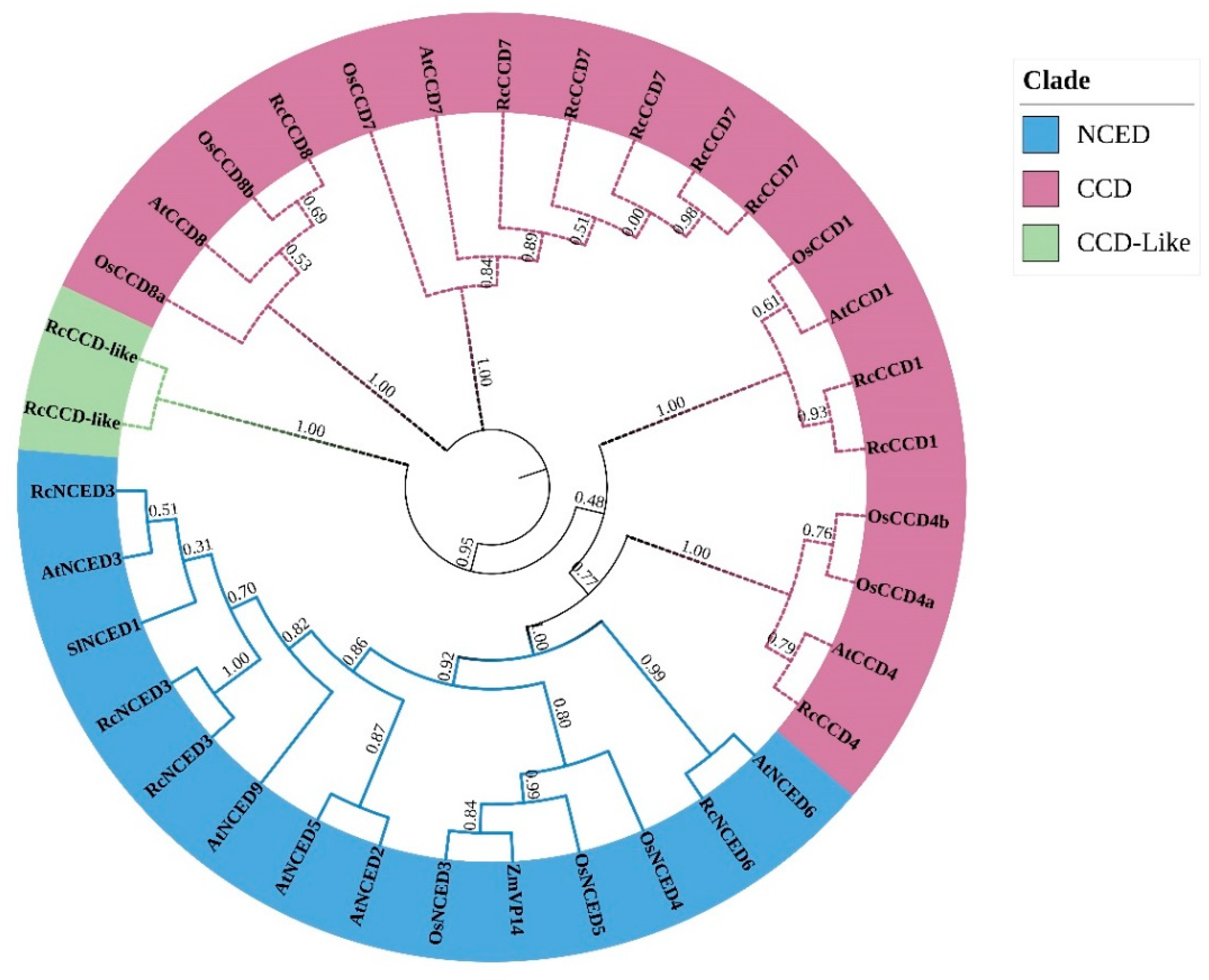 Horticulturae 09 00115 g002