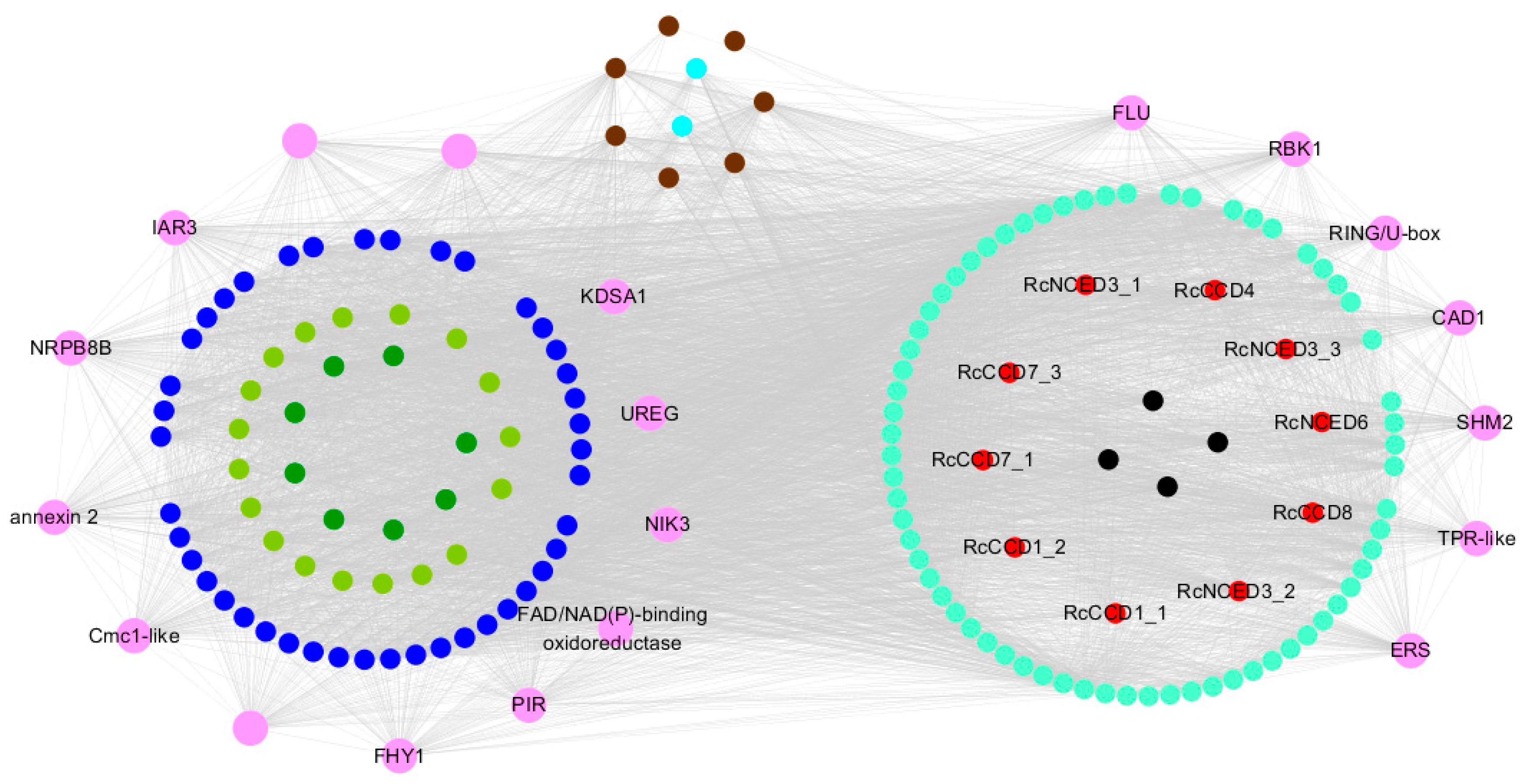 Horticulturae 09 00115 g010