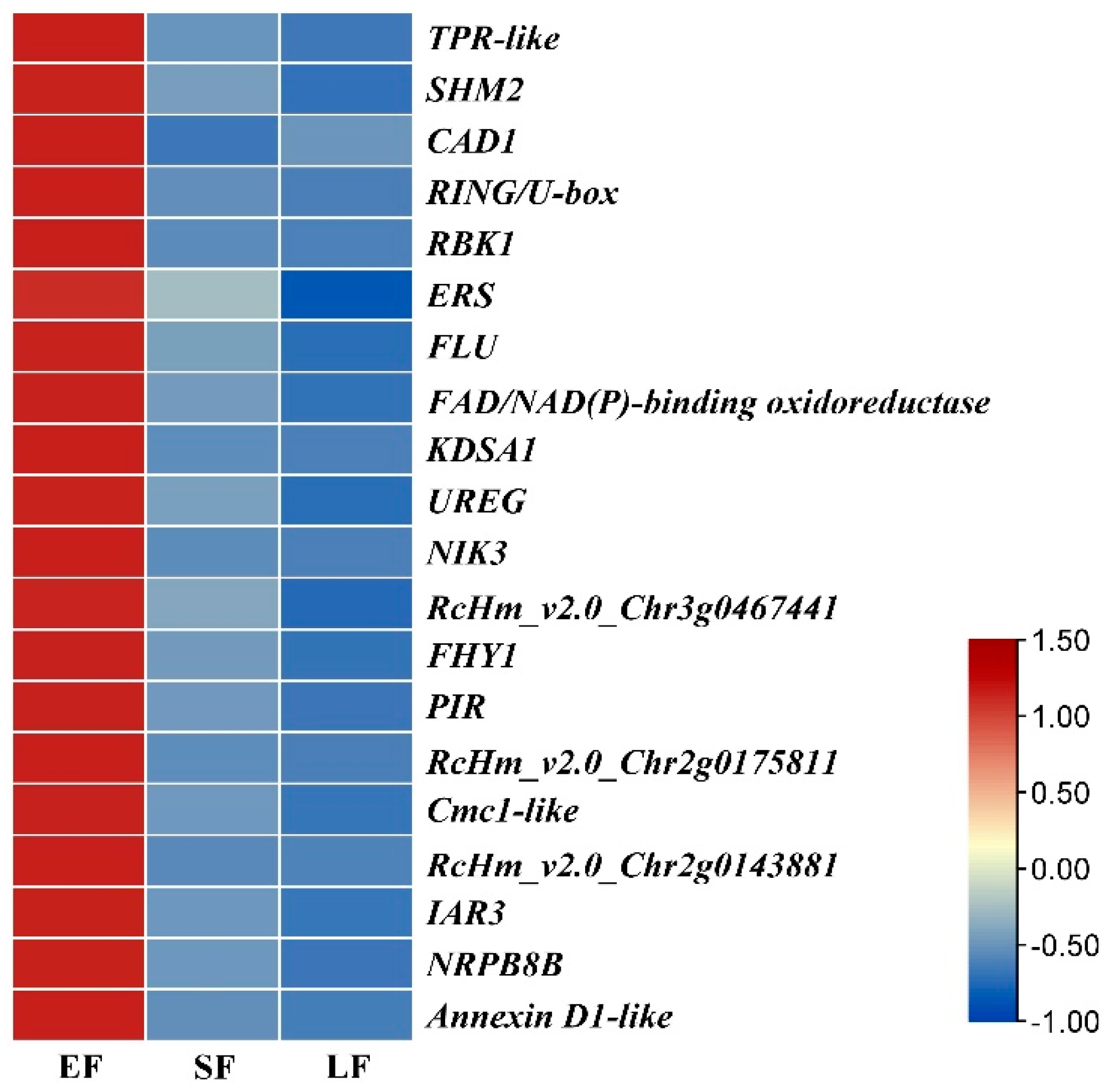 Horticulturae 09 00115 g011
