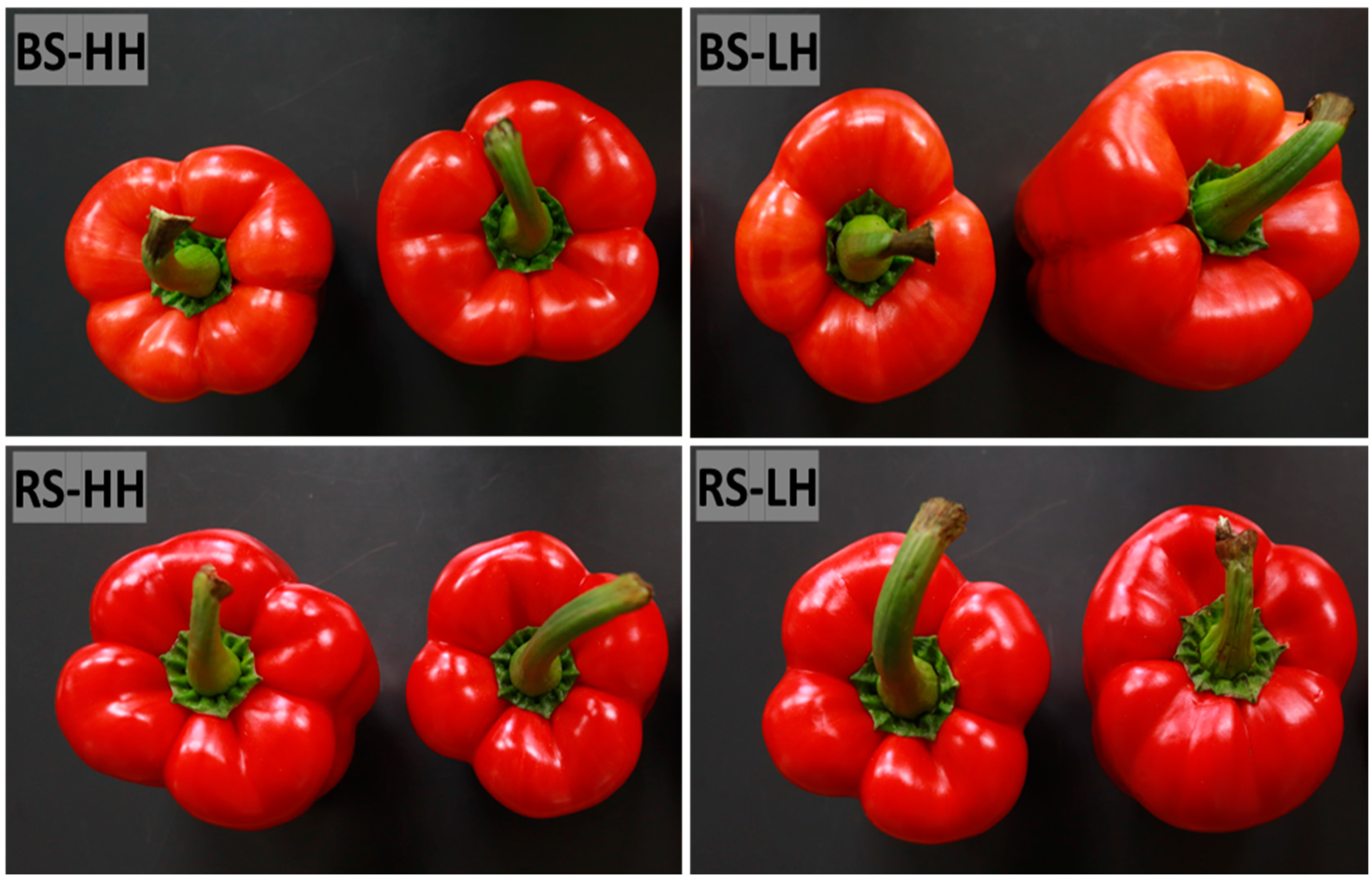 Horticulturae 09 00116 g002 Horticulturae 09 00116 g002