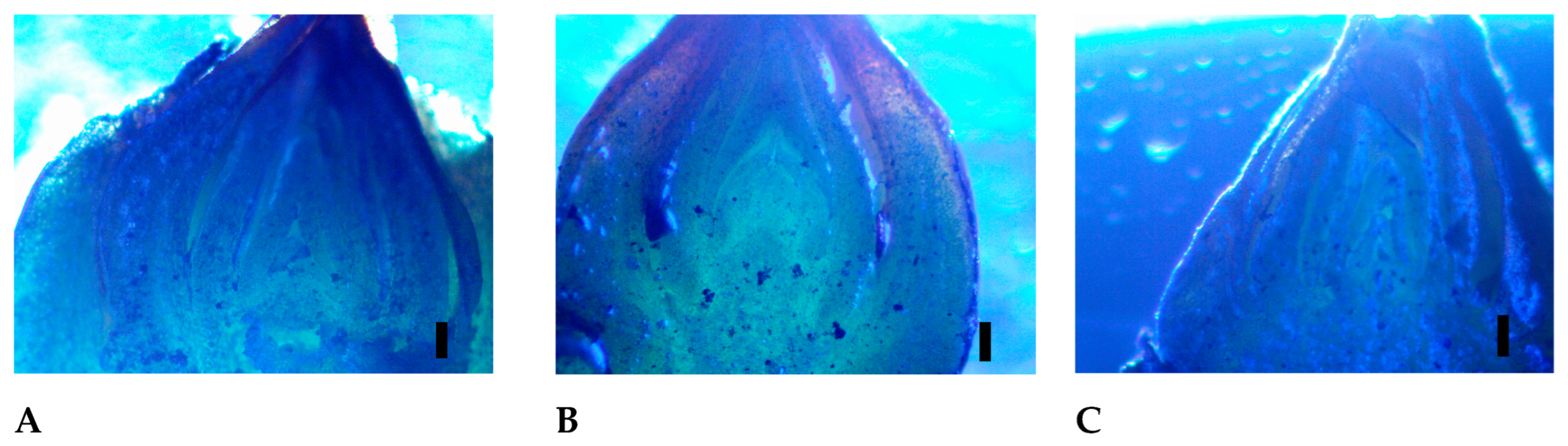 Horticulturae 09 00117 g008