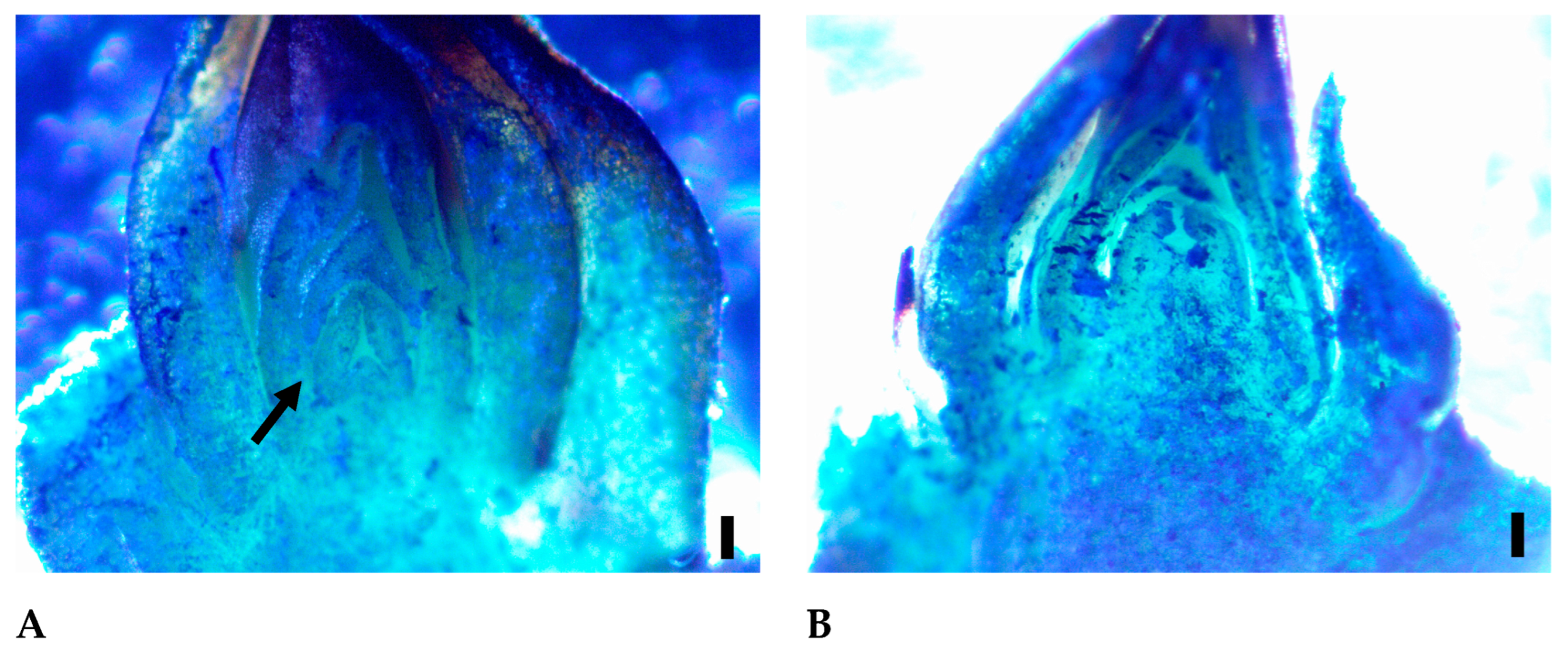 Horticulturae 09 00117 g009
