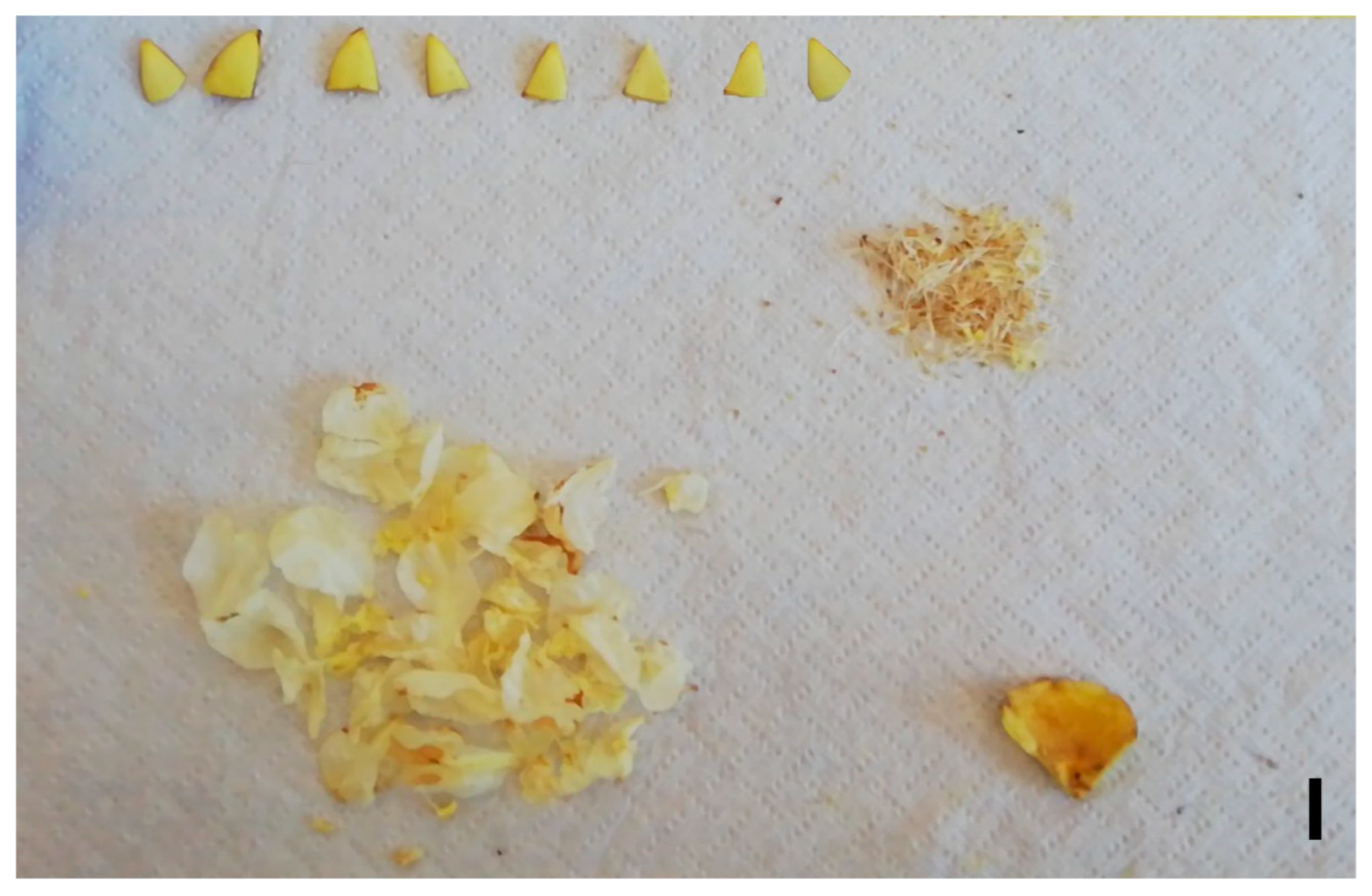 Horticulturae 09 00117 g010