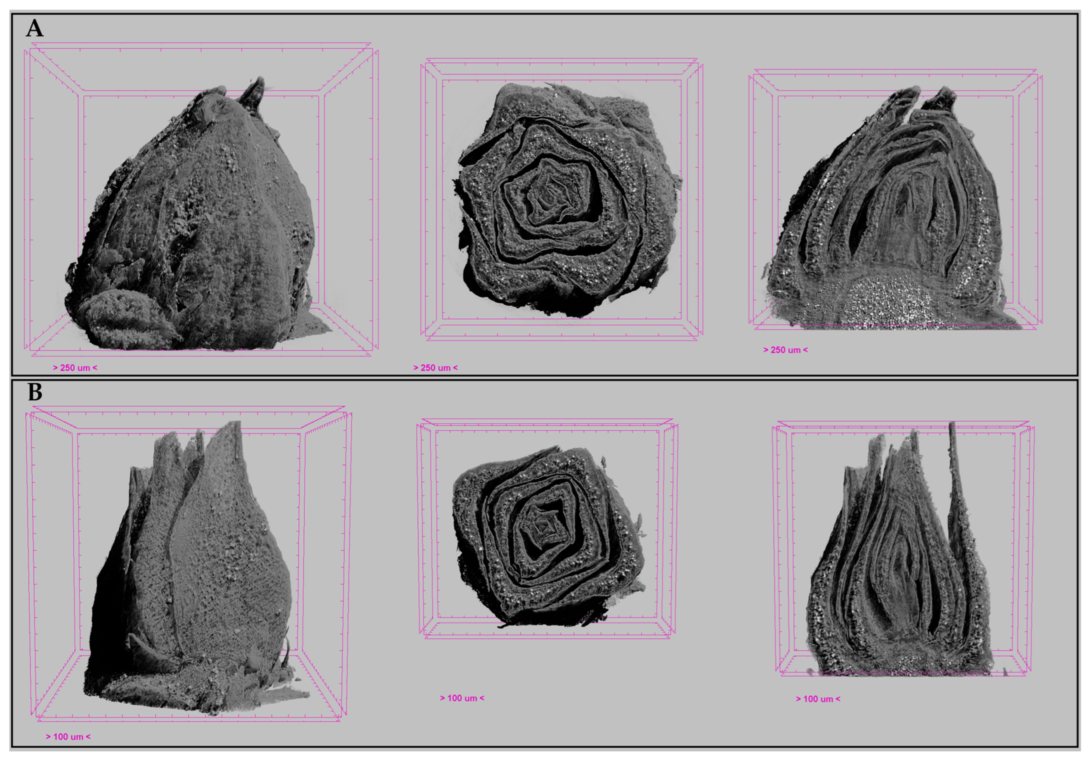 Horticulturae 09 00117 g011