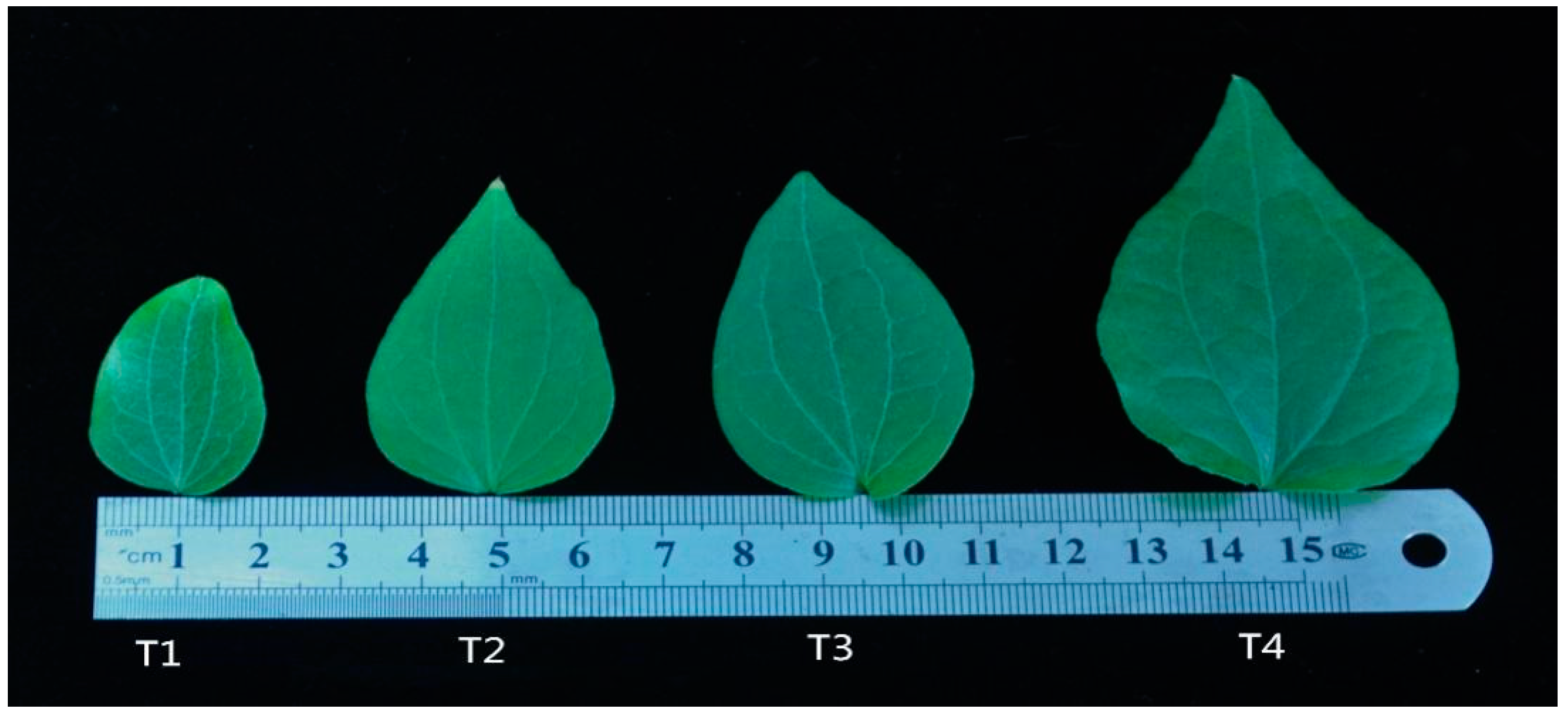 Horticulturae 09 00118 g002