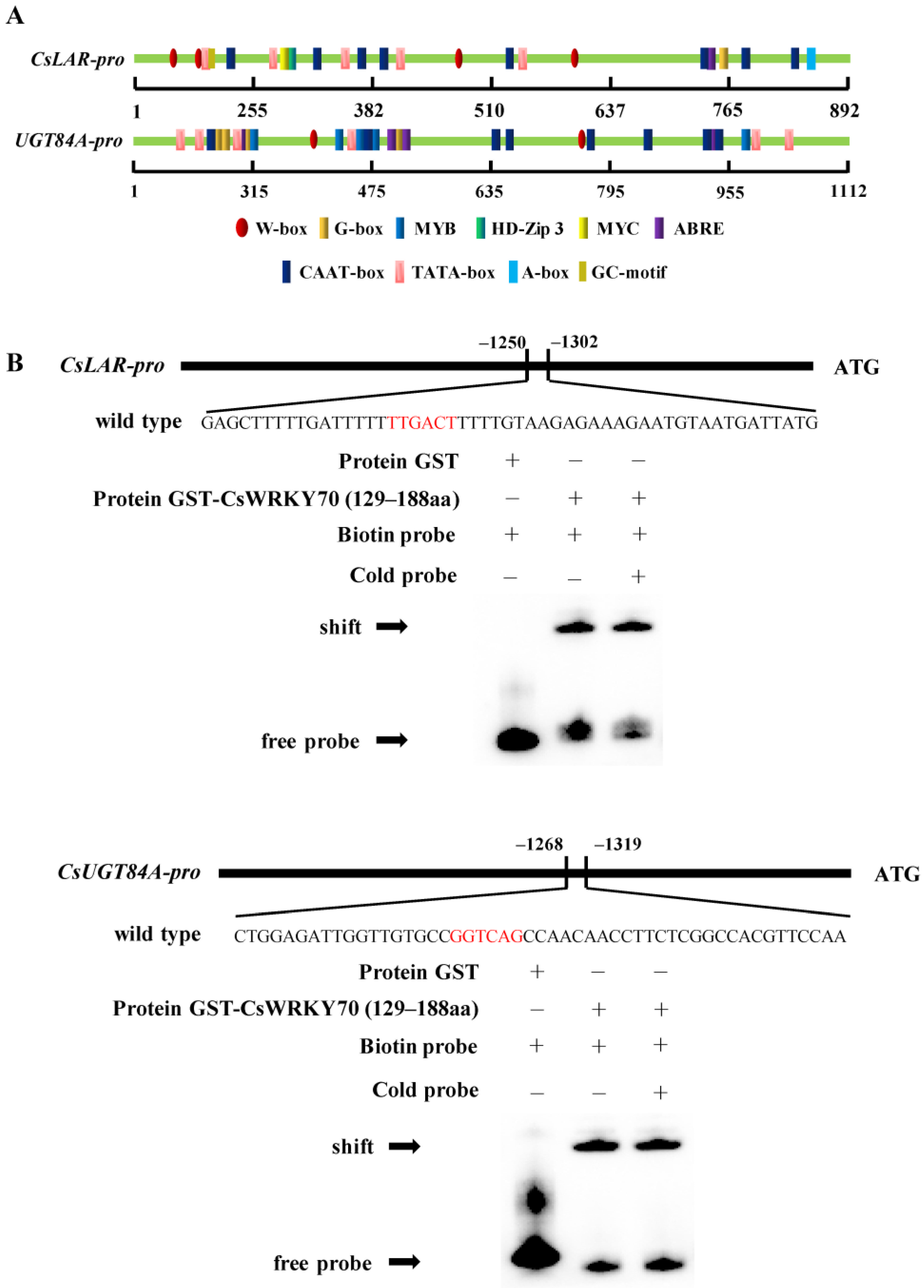 Horticulturae 09 00120 g005 Horticulturae 09 00120 g005