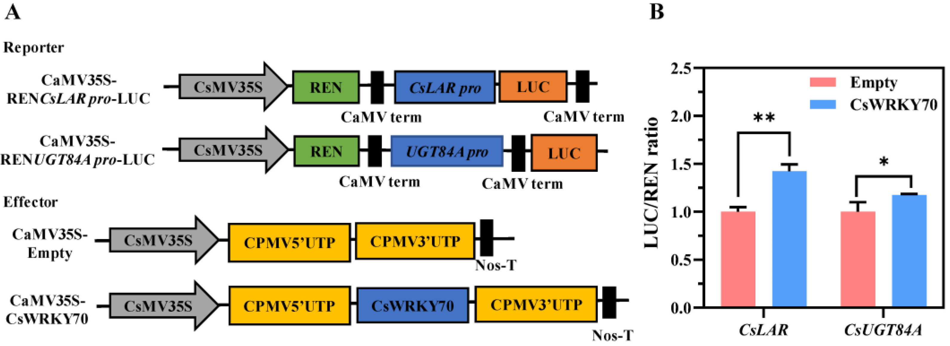Horticulturae 09 00120 g006 Horticulturae 09 00120 g006