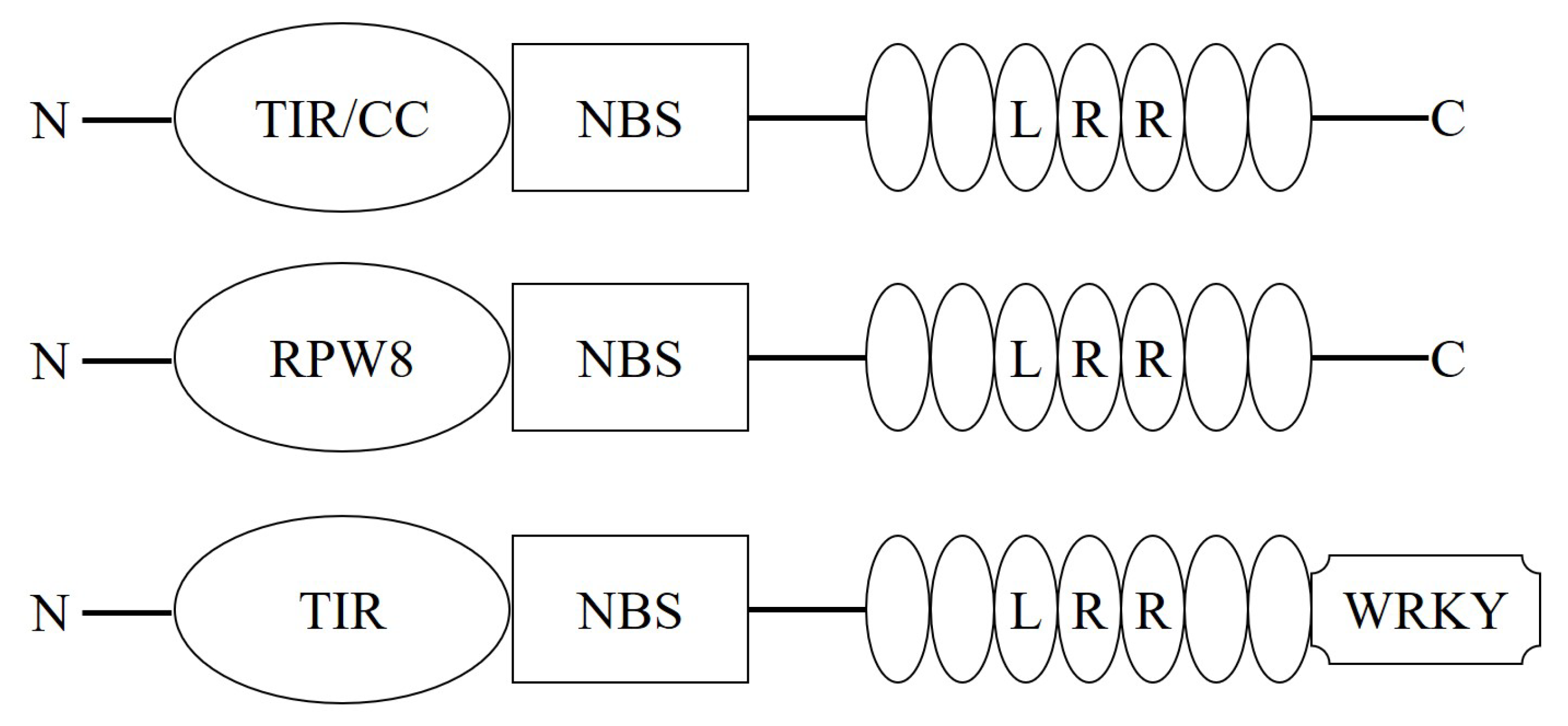 Horticulturae 09 00122 g001 Horticulturae 09 00122 g001