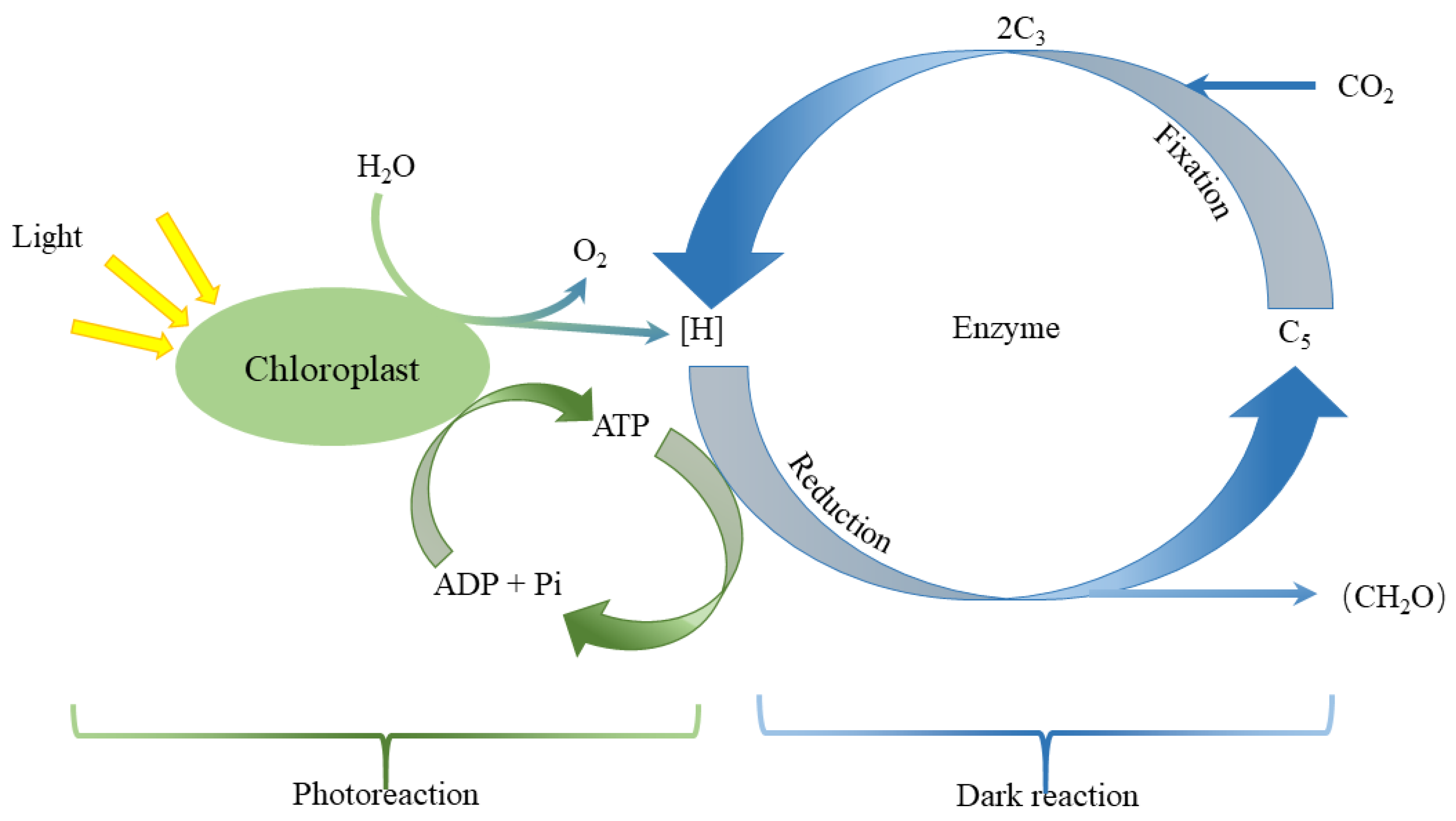 Horticulturae 09 00124 g007