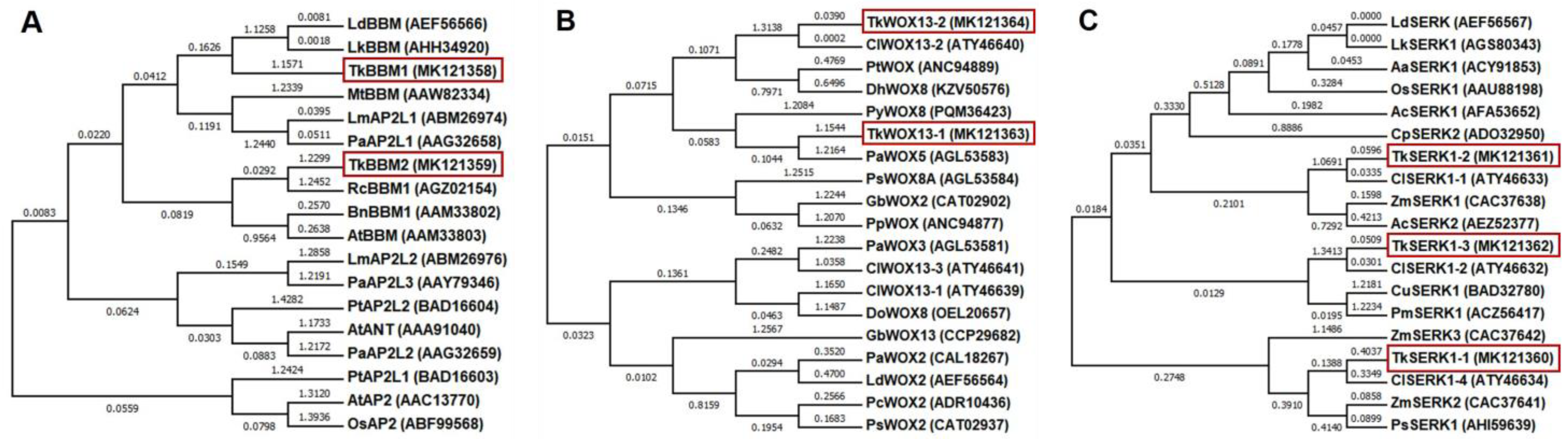 Horticulturae 09 00131 g006 Horticulturae 09 00131 g006