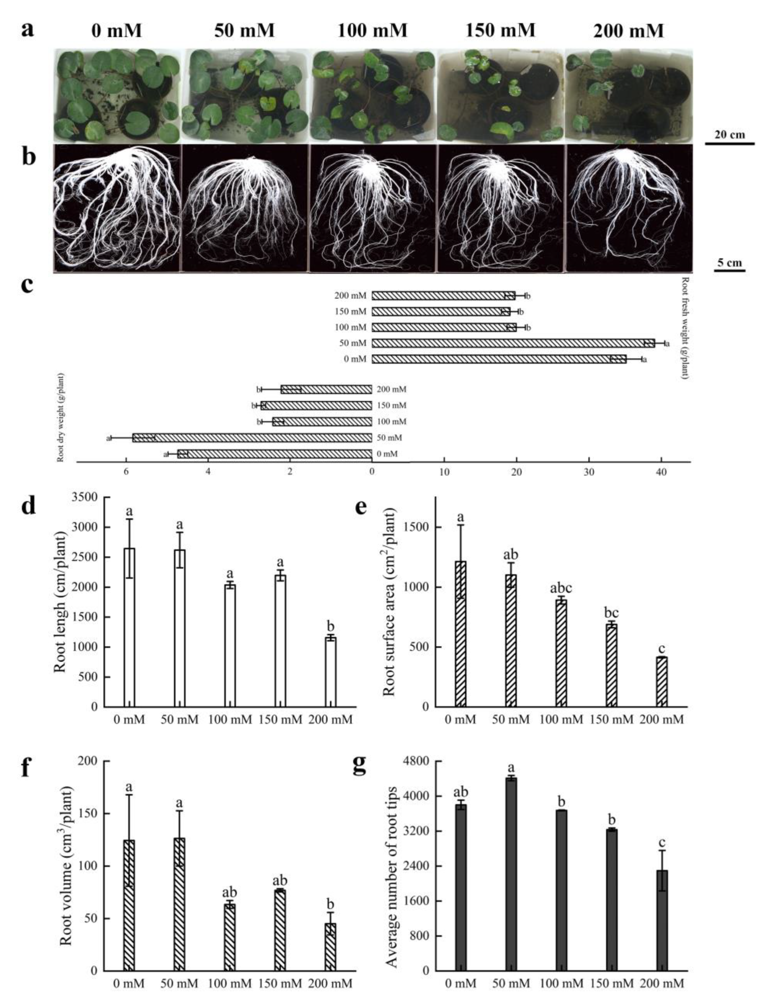 Horticulturae 09 00132 g001 Horticulturae 09 00132 g001