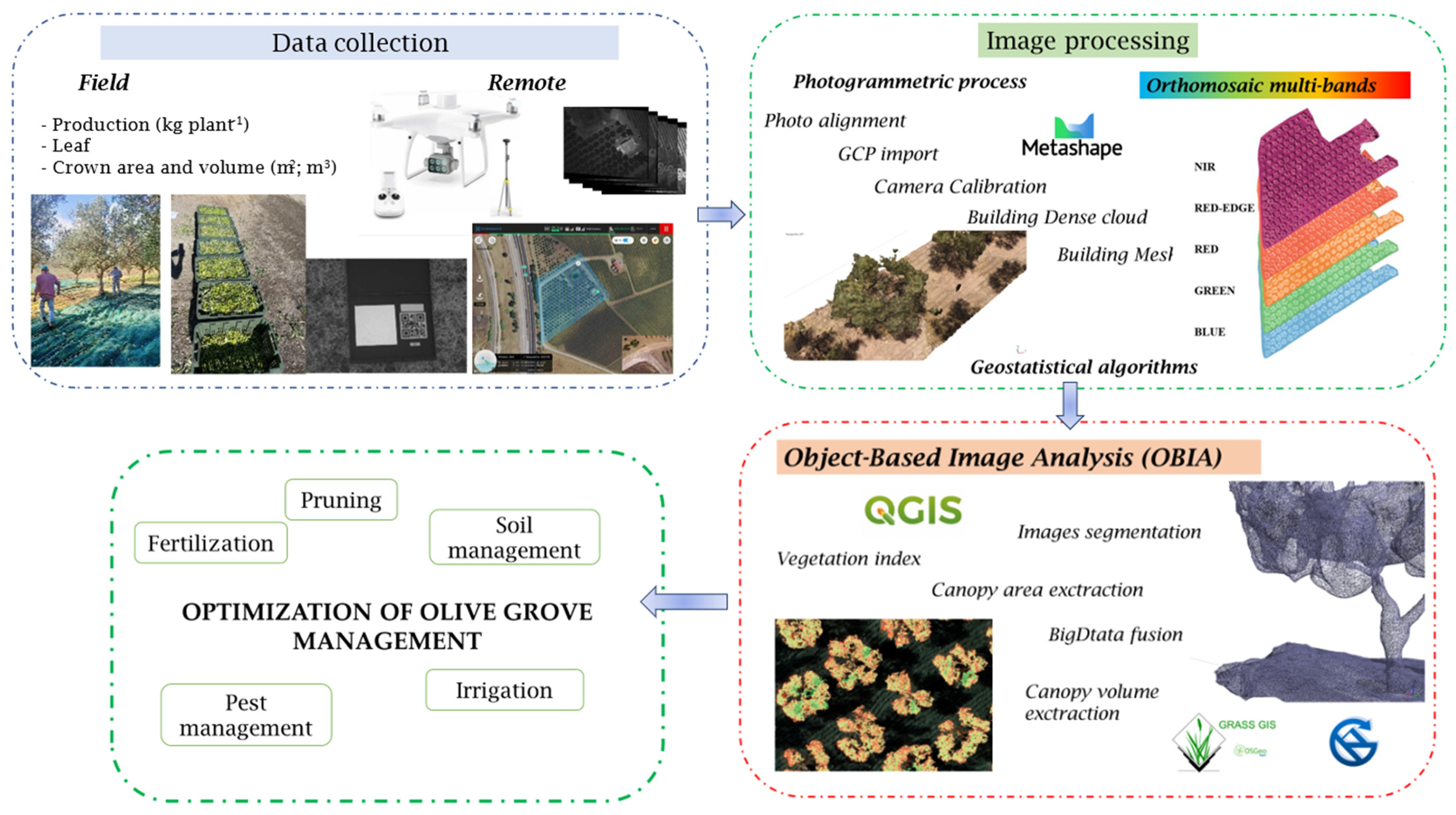 Horticulturae 09 00133 g003