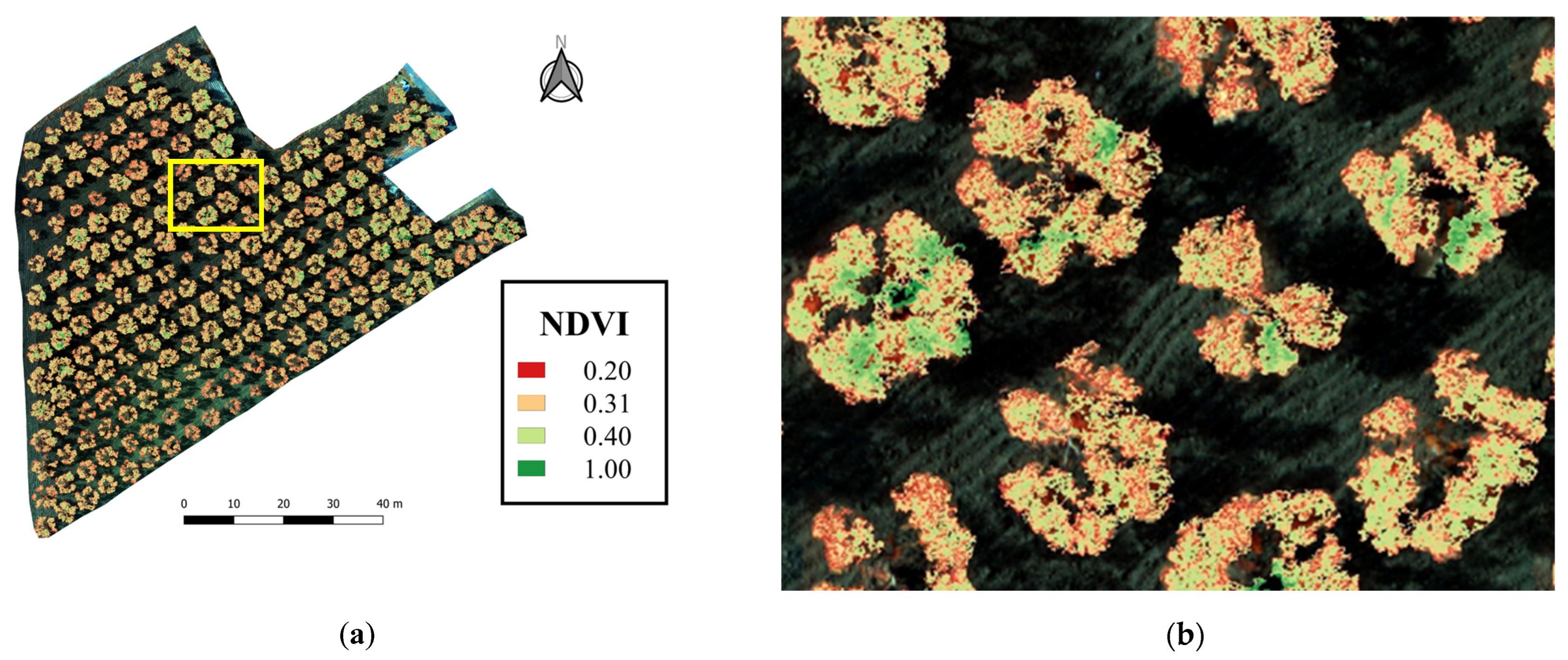 Horticulturae 09 00133 g006