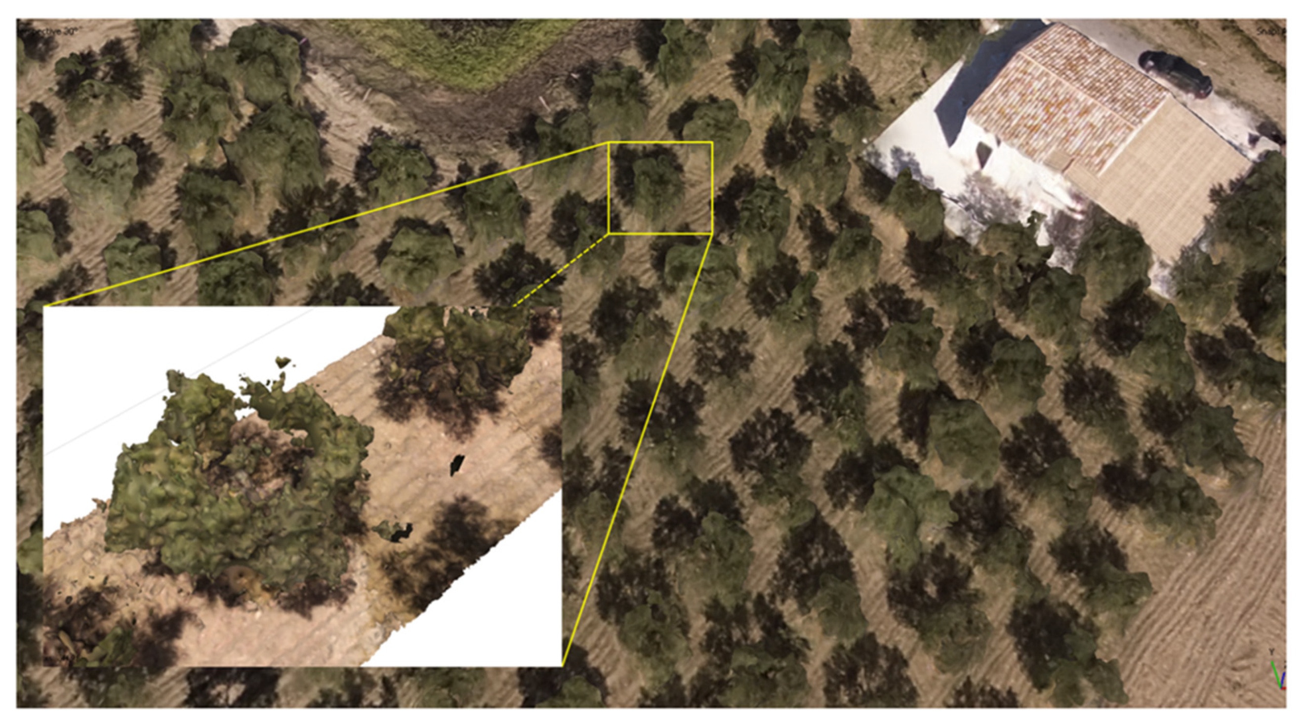 Horticulturae 09 00133 g013