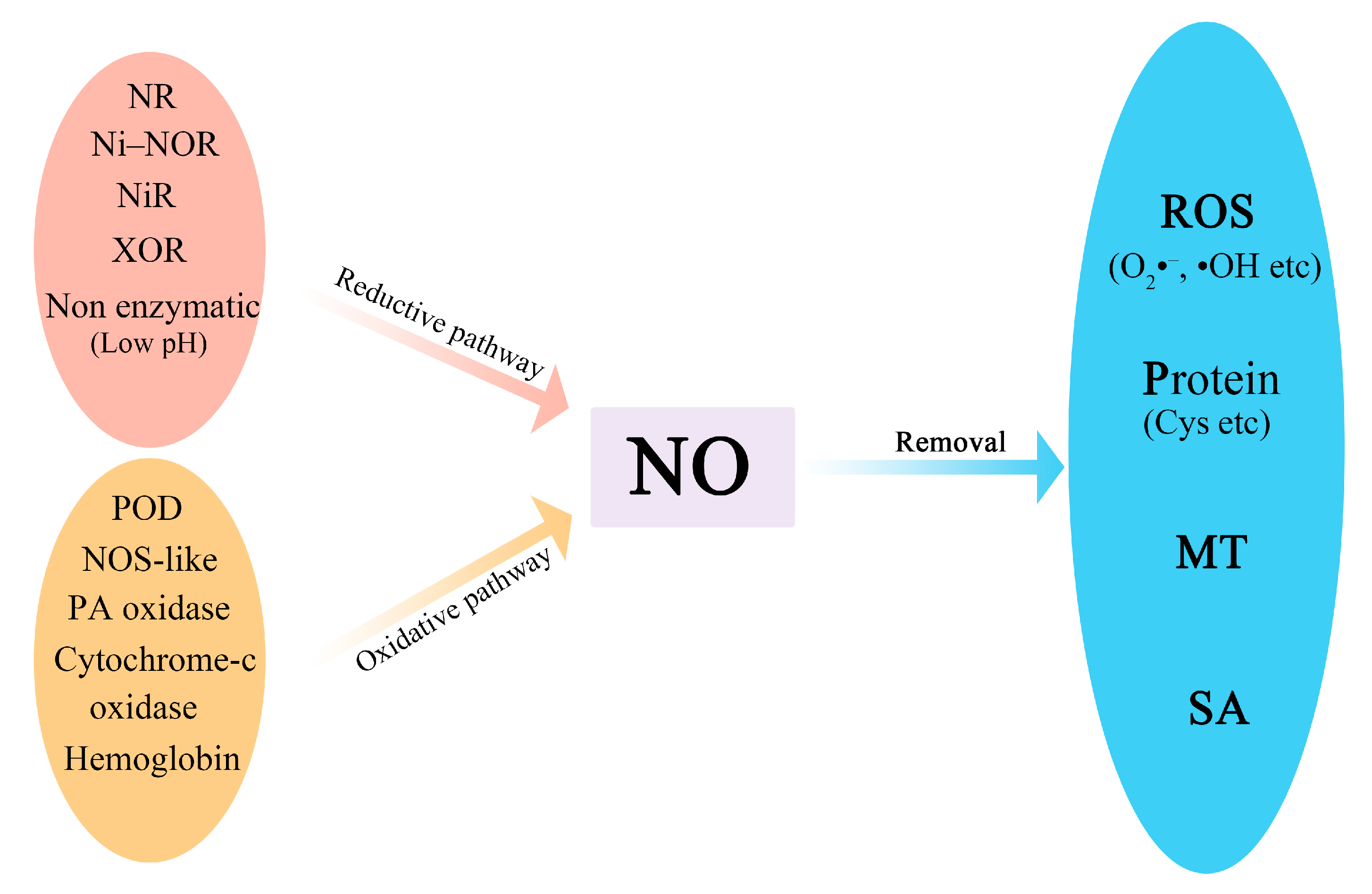 Horticulturae 09 00135 g001 Horticulturae 09 00135 g001