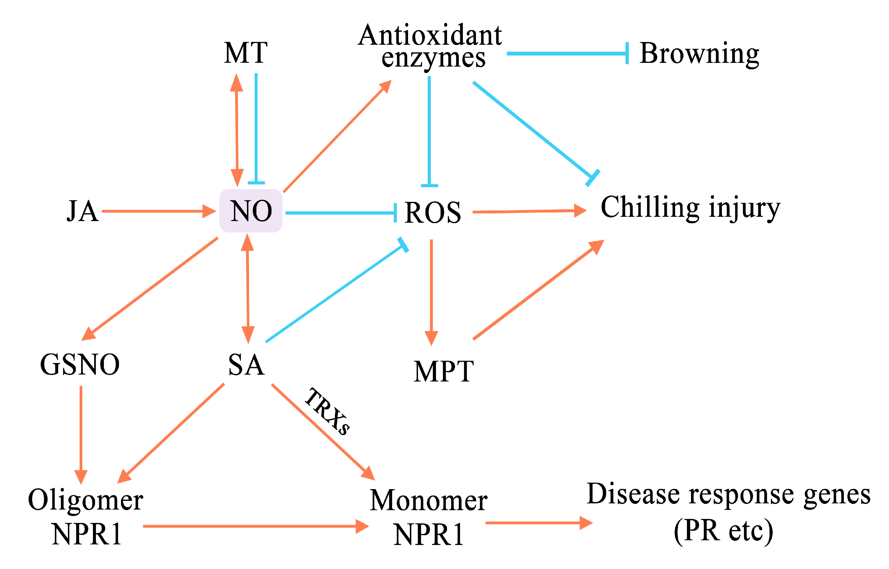 Horticulturae 09 00135 g003 Horticulturae 09 00135 g003