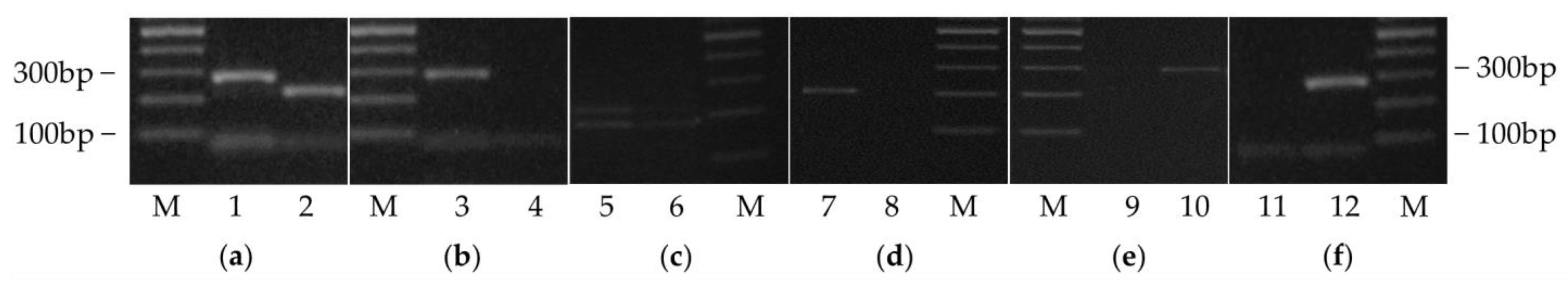 Horticulturae 09 00140 g003 Horticulturae 09 00140 g003