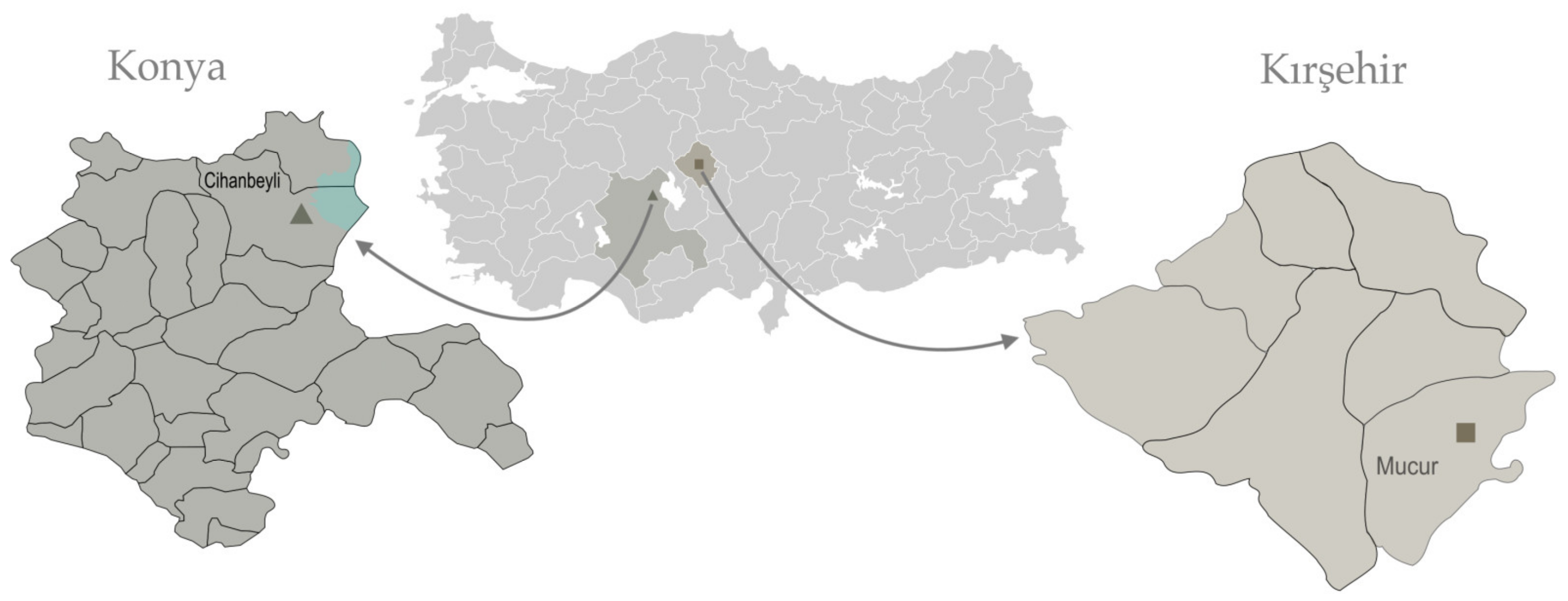 Horticulturae 09 00144 g005